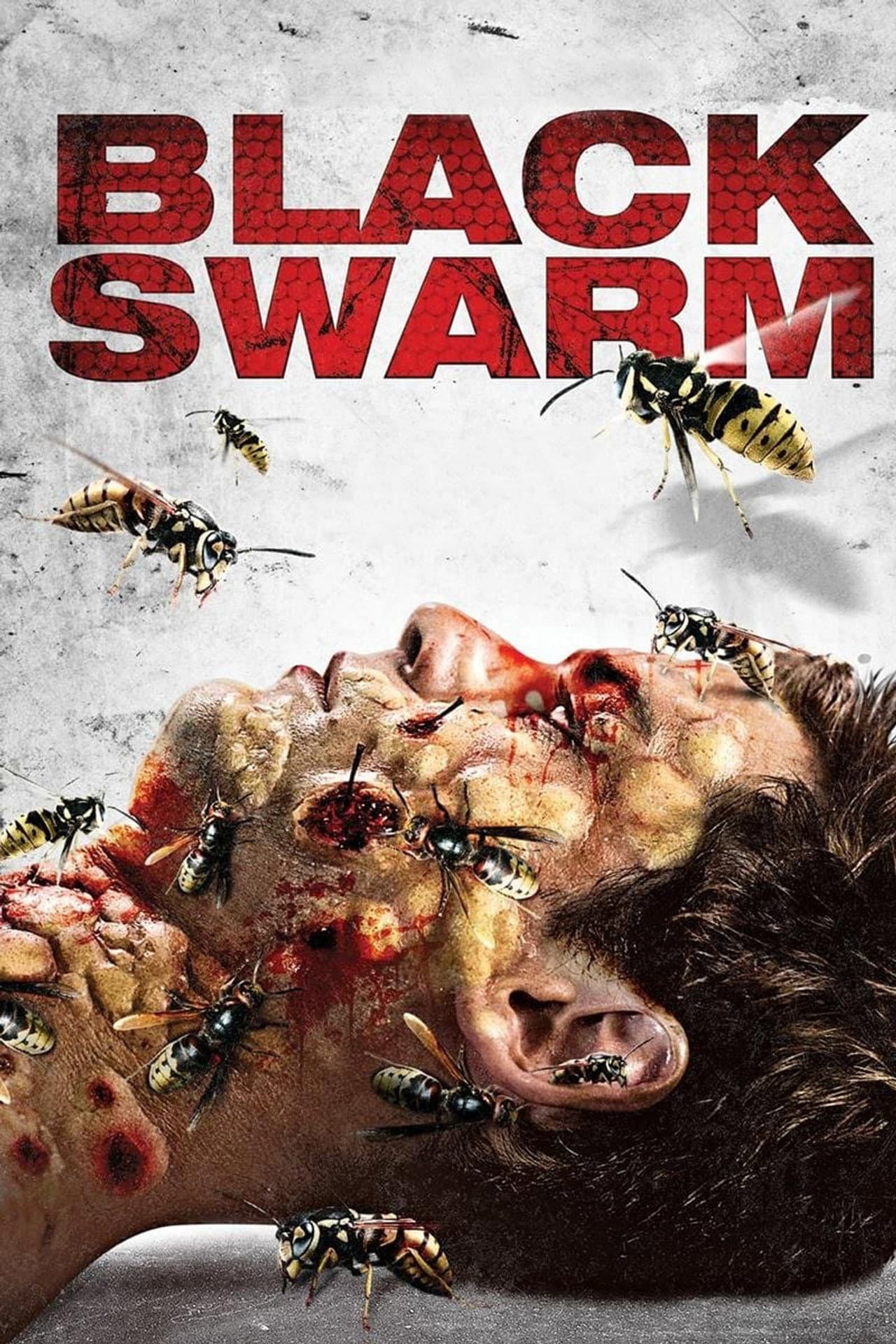 Black Swarm preview 1