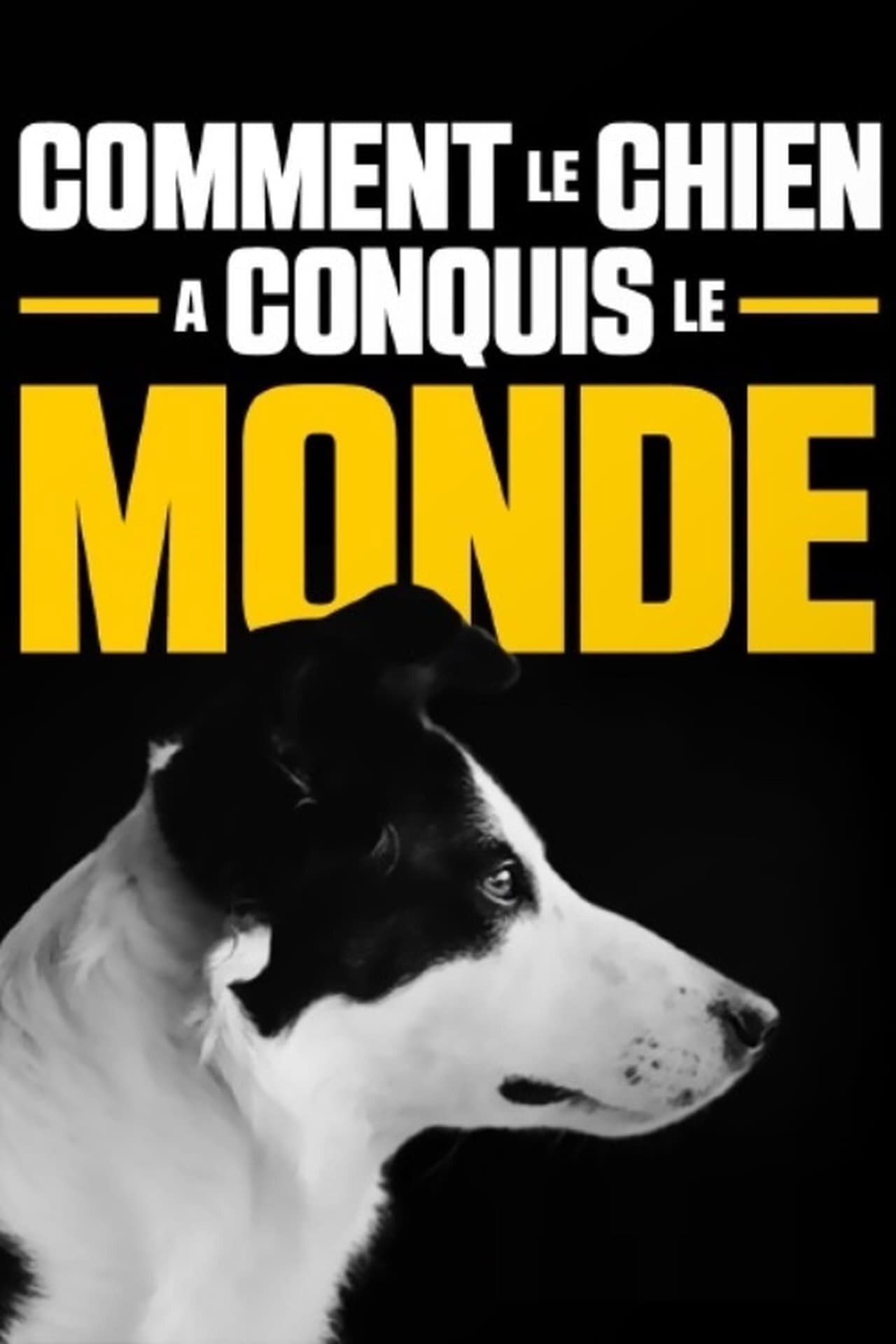 How dogs conquered the world preview 2