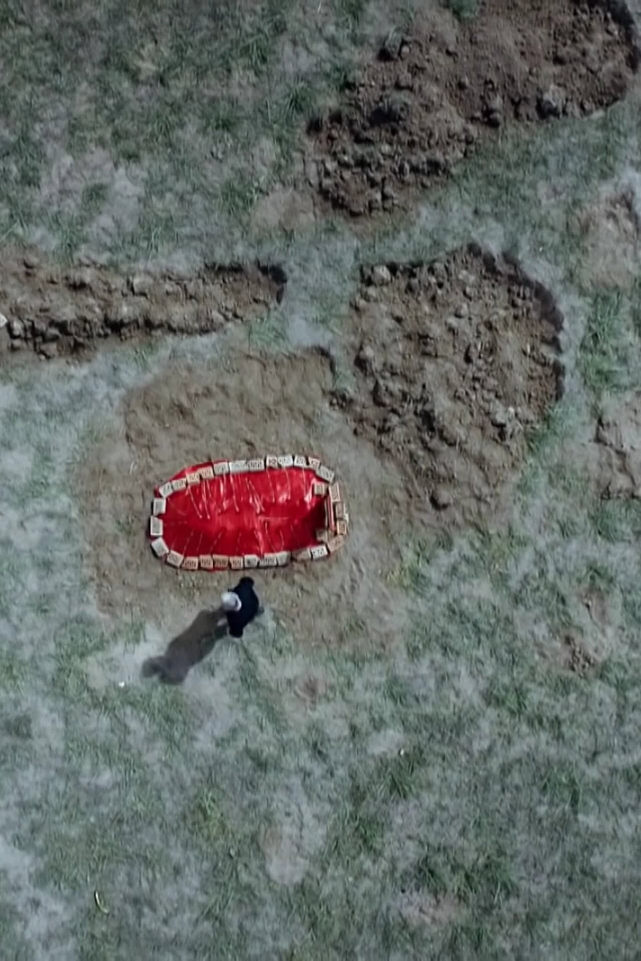 The grave under the plum tree preview 2