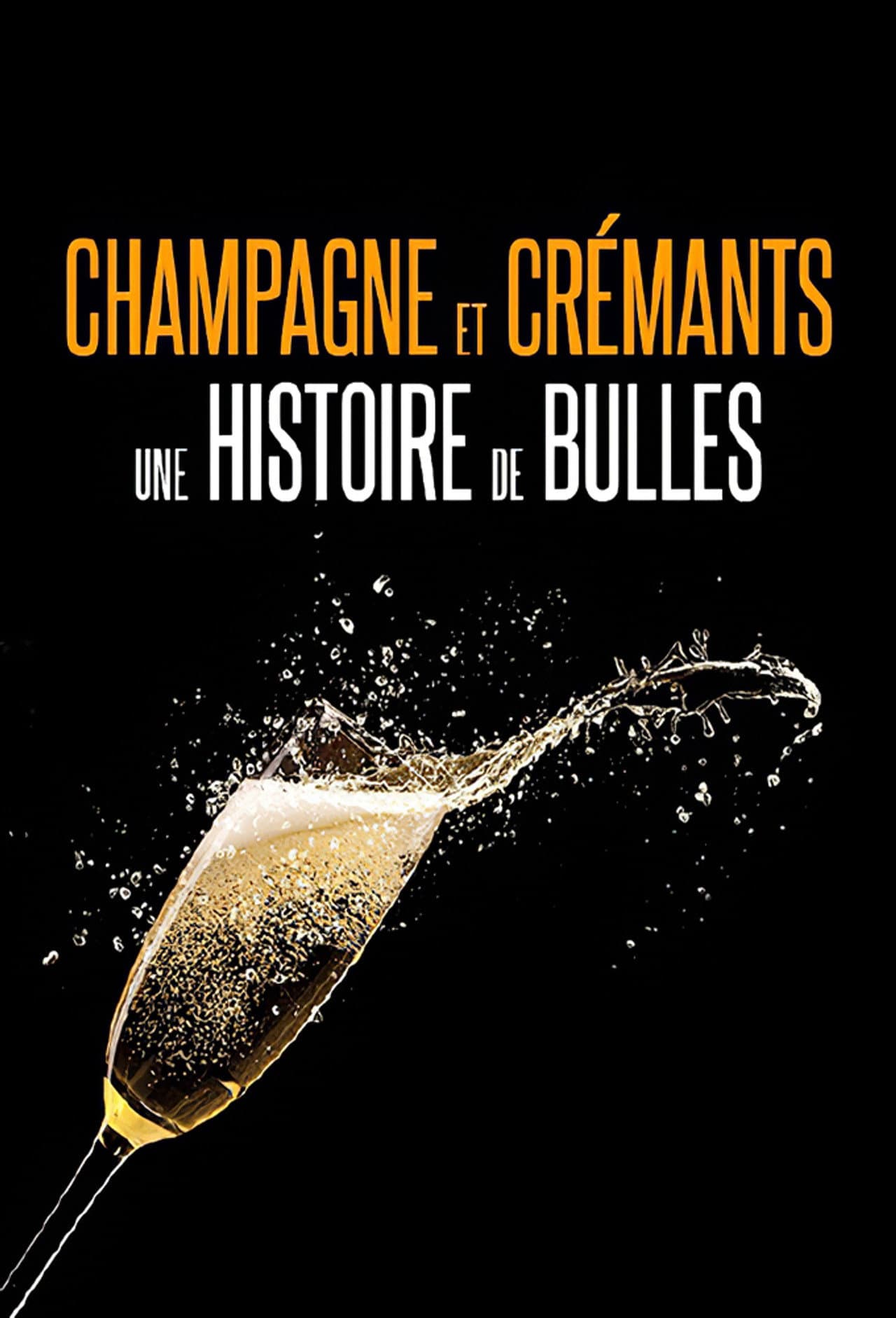 Champagnes et crémants, une histoire de bulles preview 1