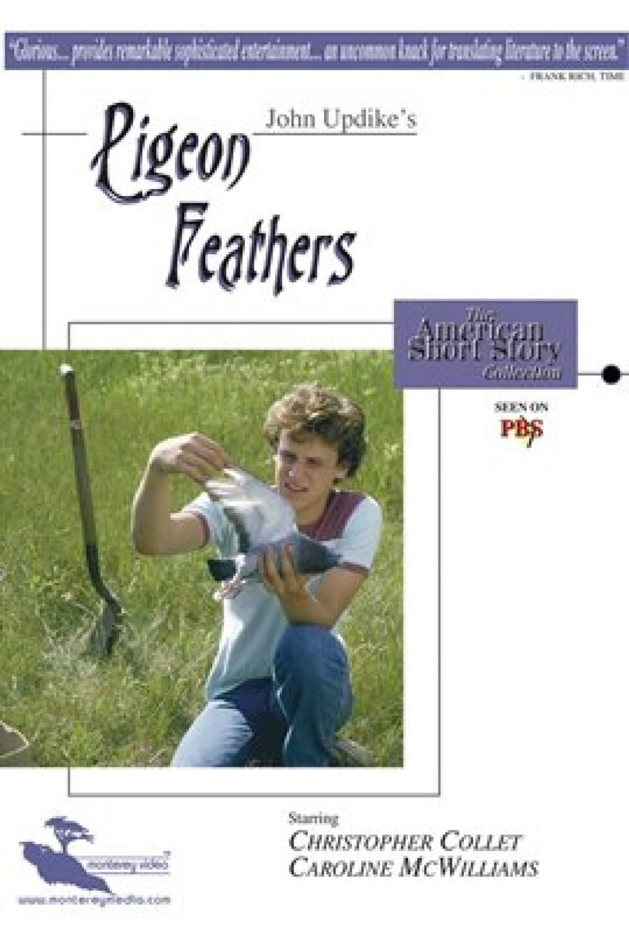 Pigeon Feathers preview 1