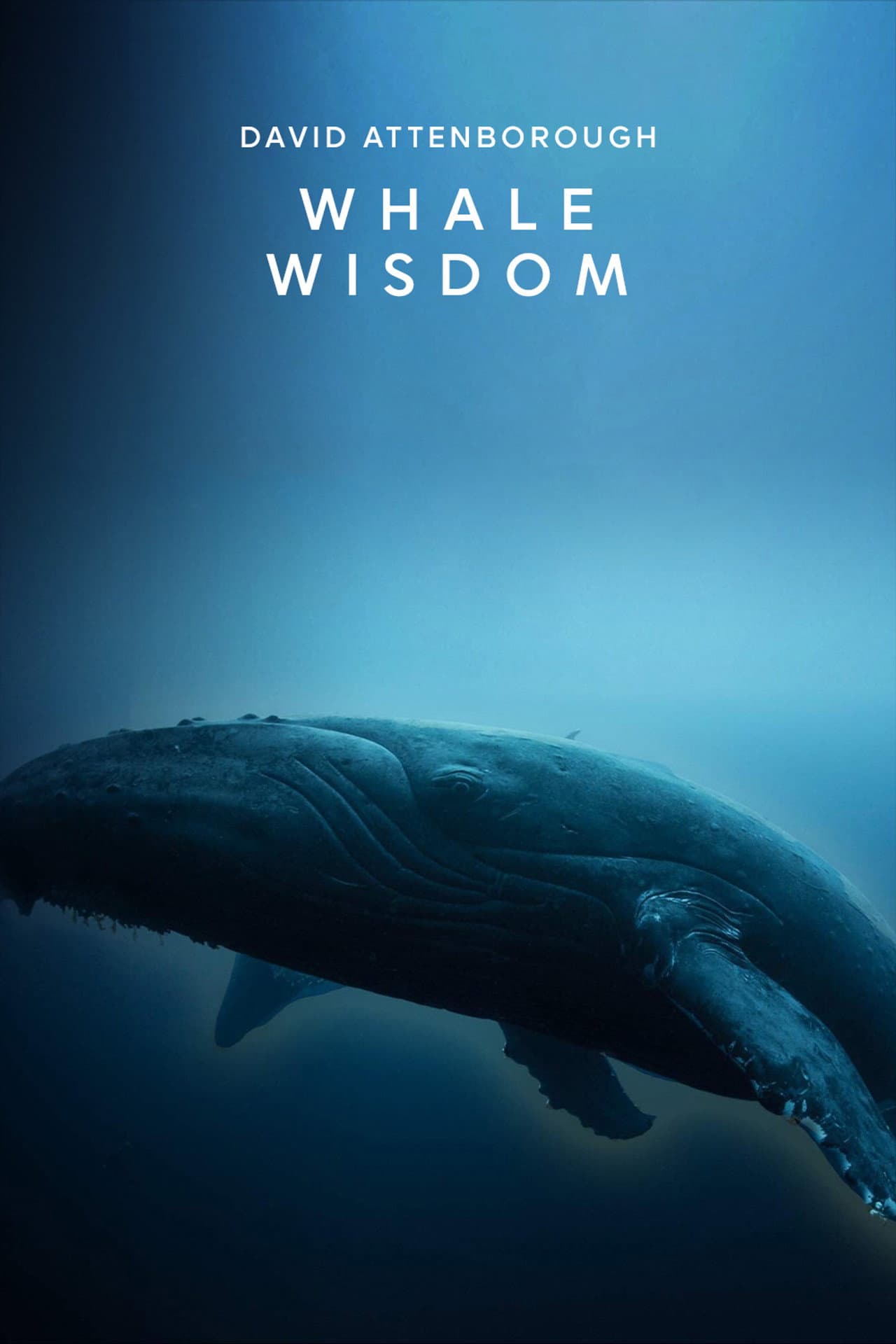 Whale Wisdom preview 2