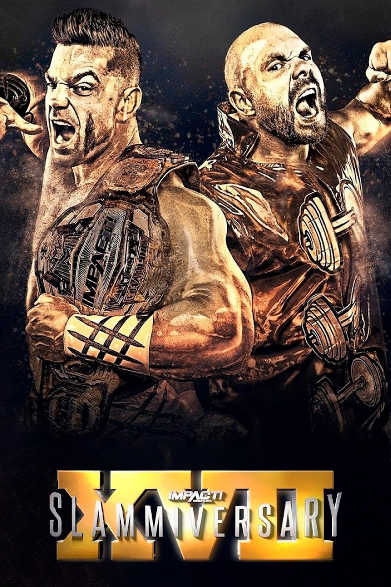 IMPACT Wrestling: Slammiversary XVII preview 2