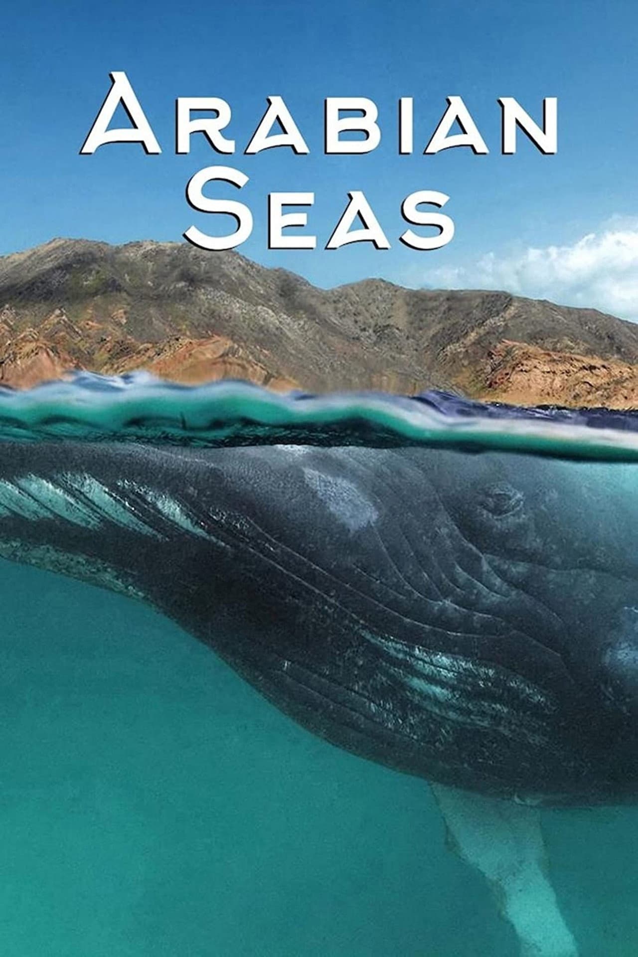 Arabian Seas preview 2