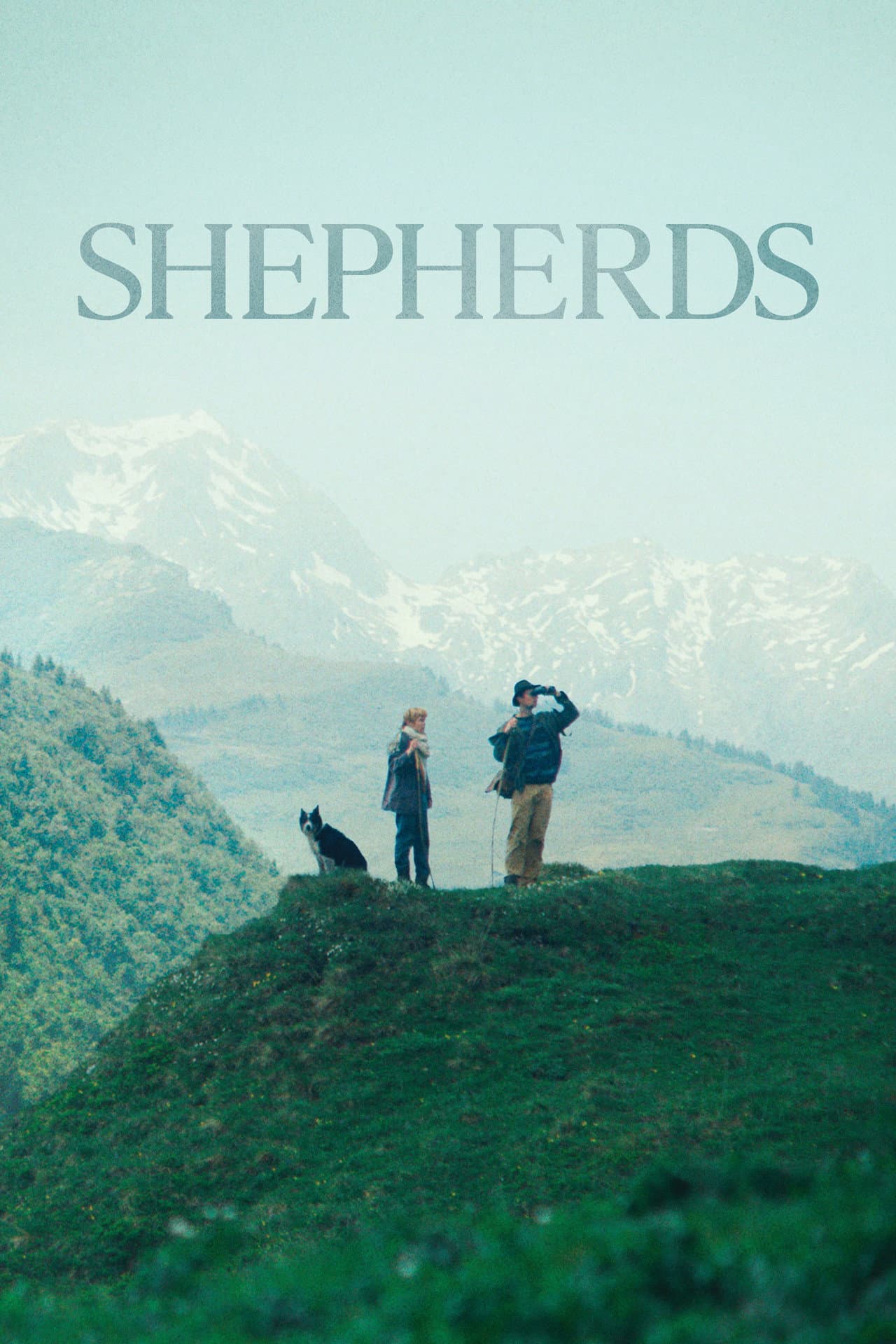 Shepherds preview 2