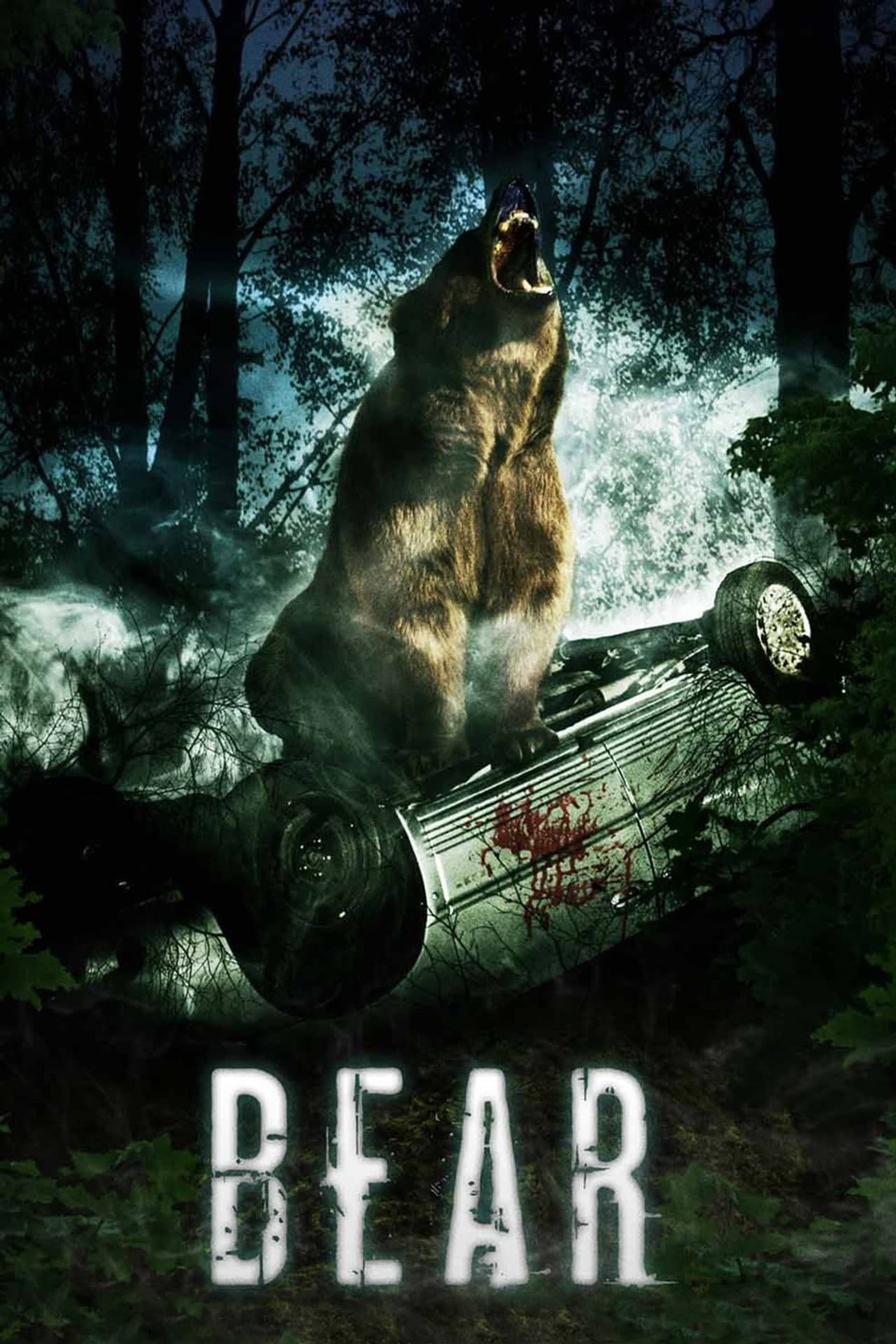Bear preview 2