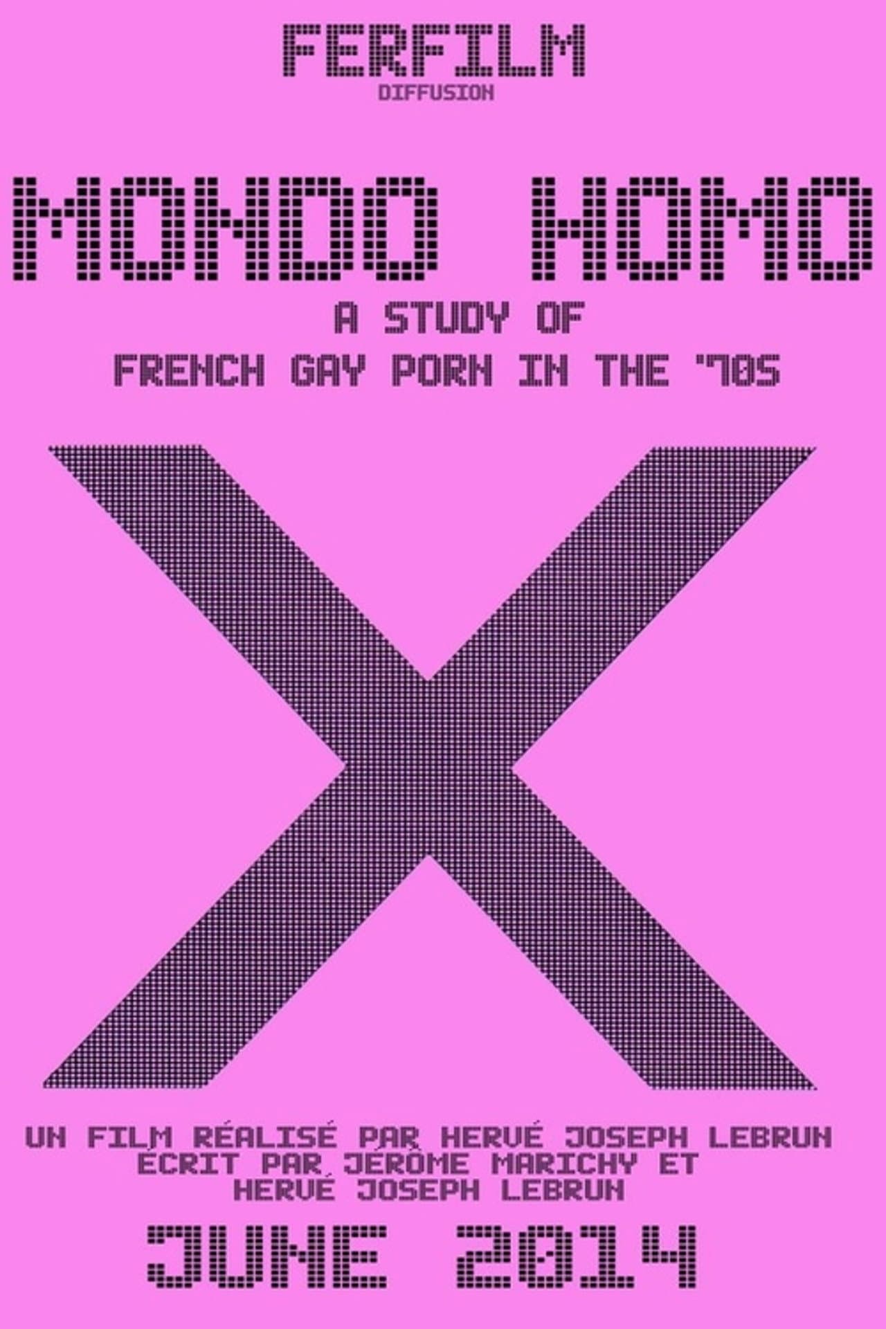 Mondo Homo: A Study of French Gay Porn in the '70s preview 2
