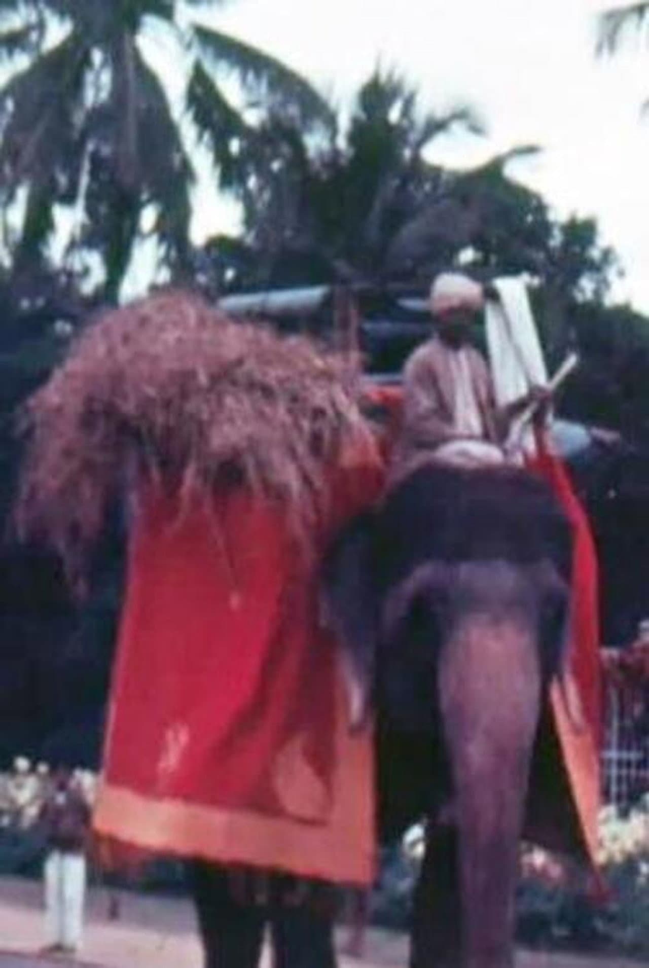 Mysore preview 2