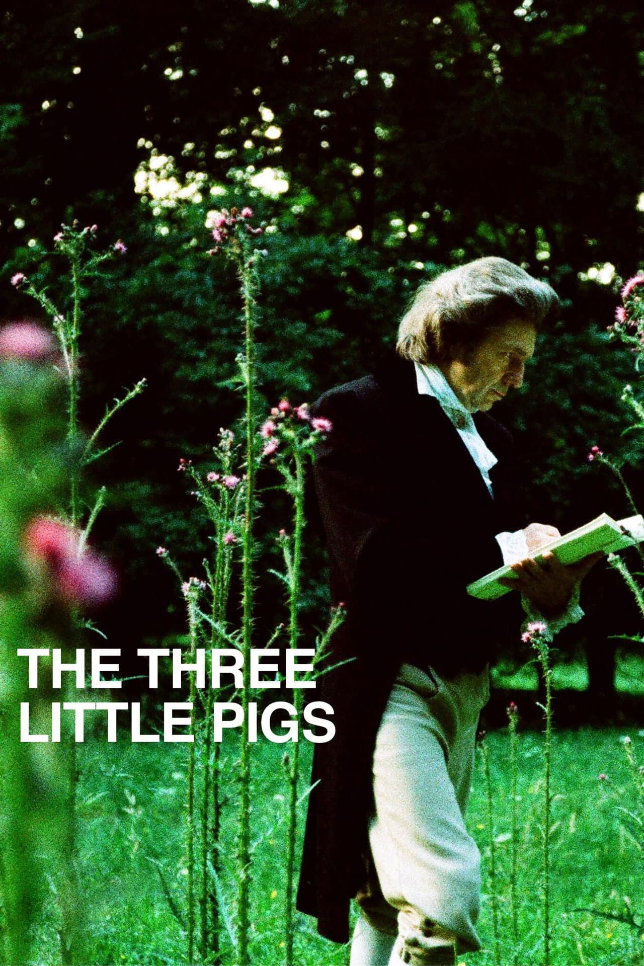 The Three Little Pigs preview 2