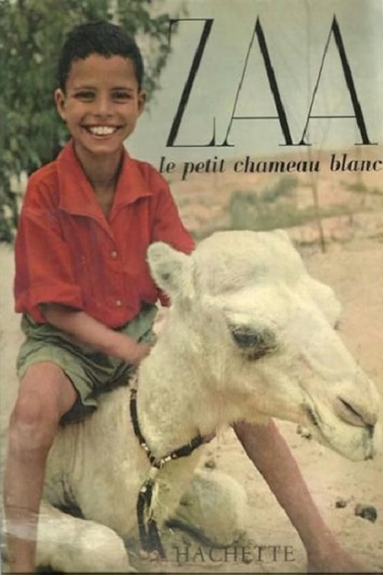 Zaa, the Little White Camel preview 2