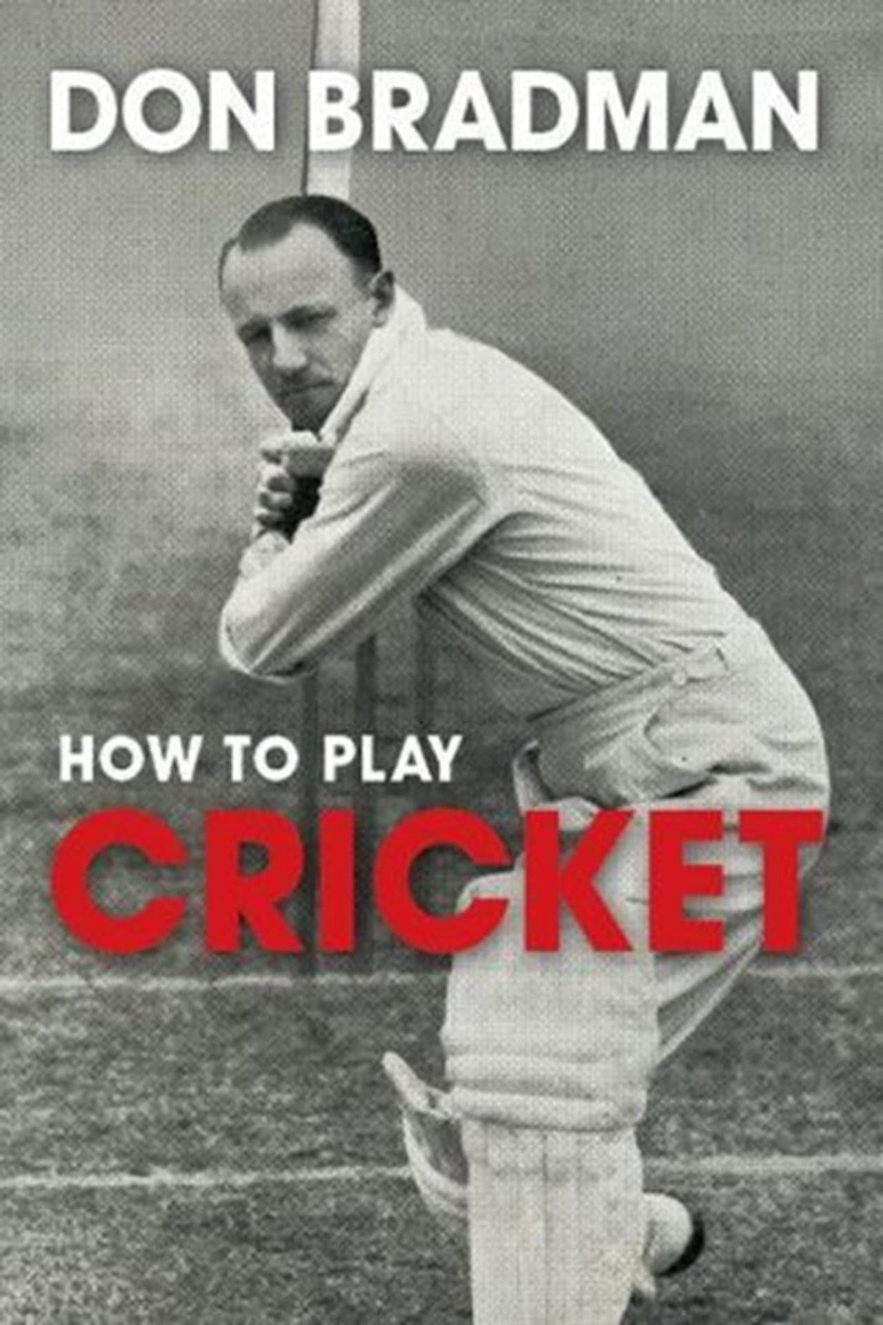 How to Play Cricket preview 2