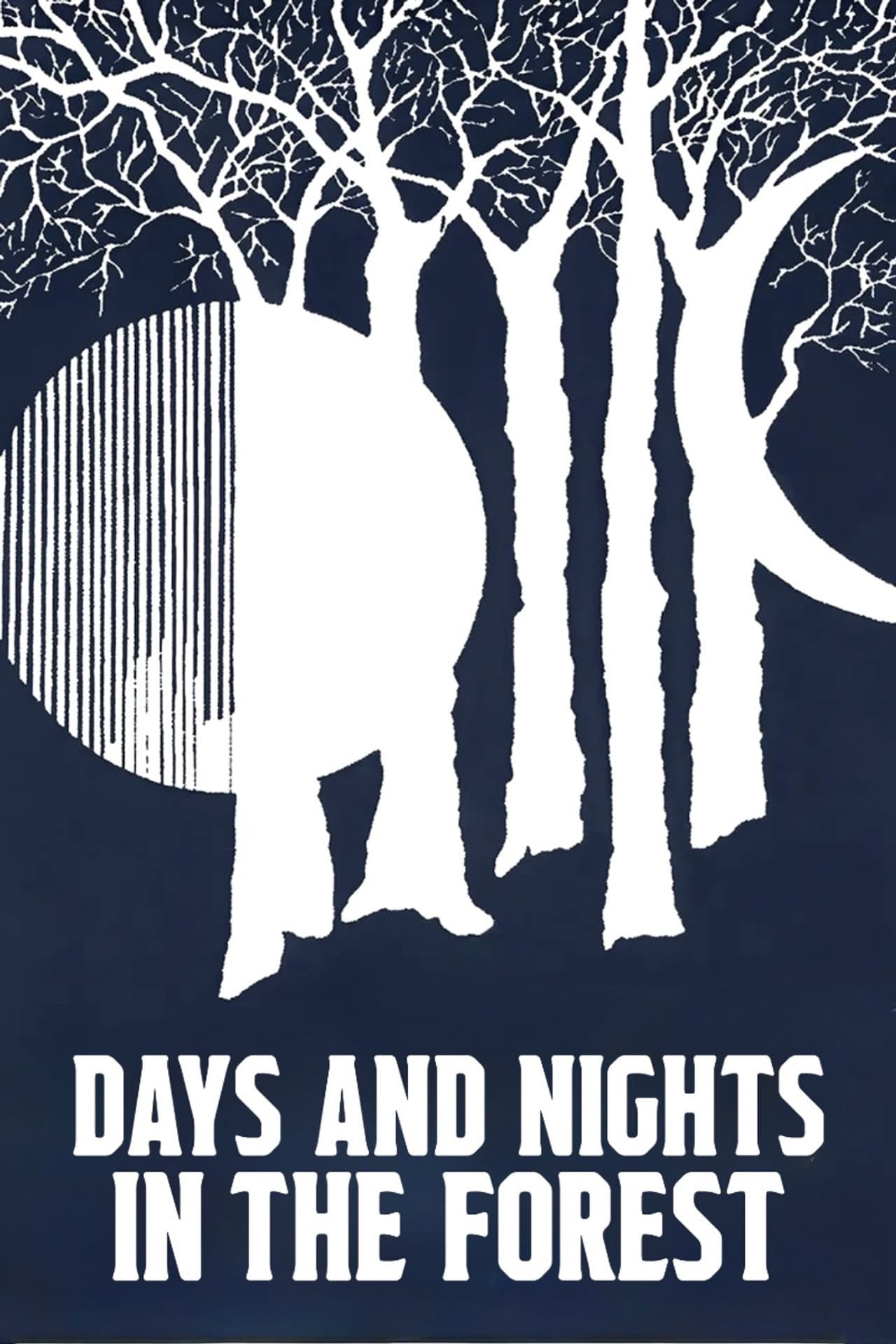 Days and Nights in the Forest preview 2