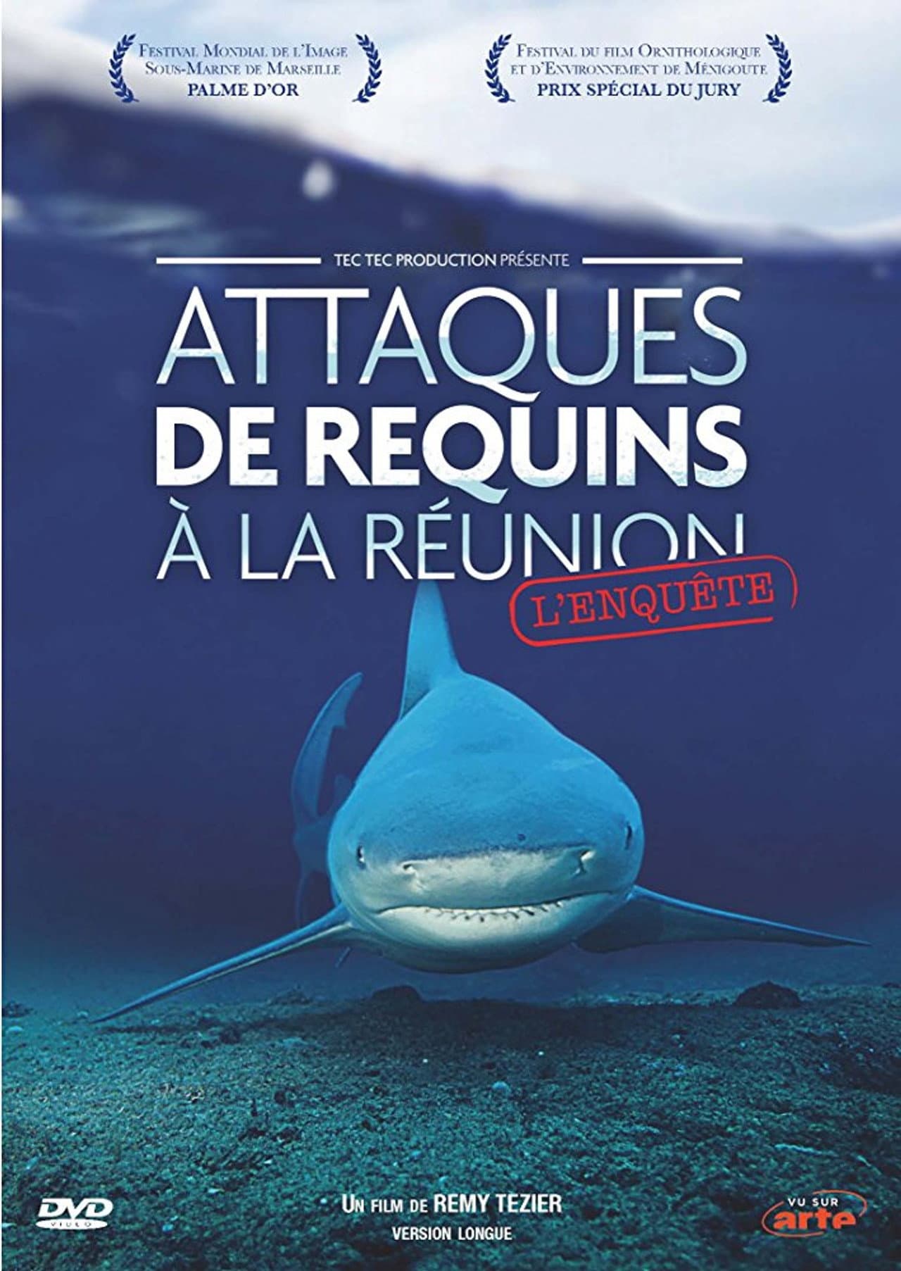 Attaques de Requins à La Réunion : L'enquête preview 2
