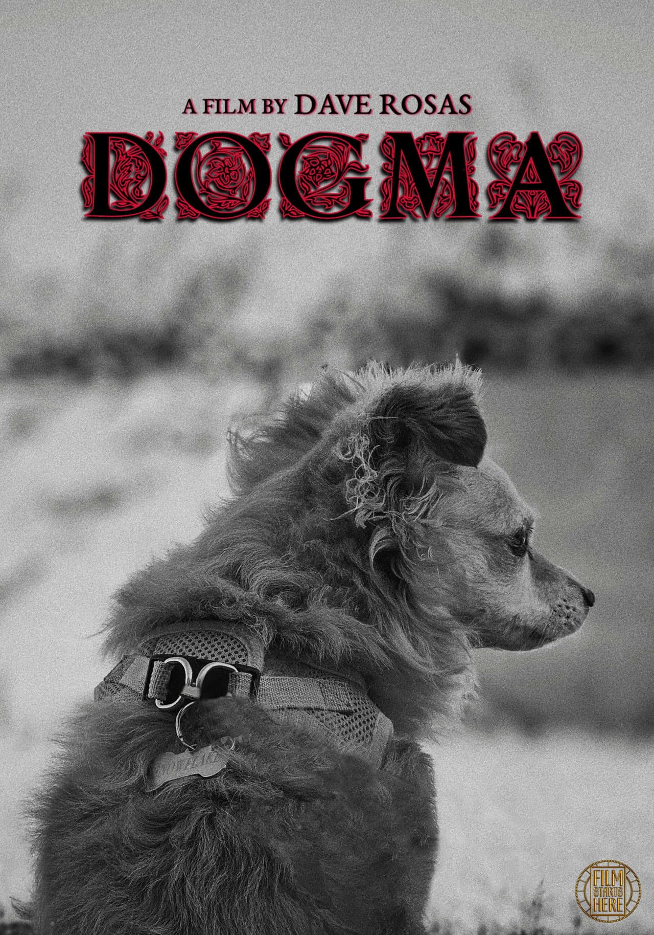 DOGMA preview 1