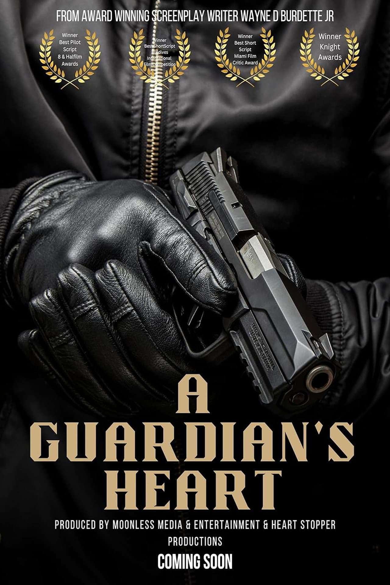 A Guardian's Heart preview 1