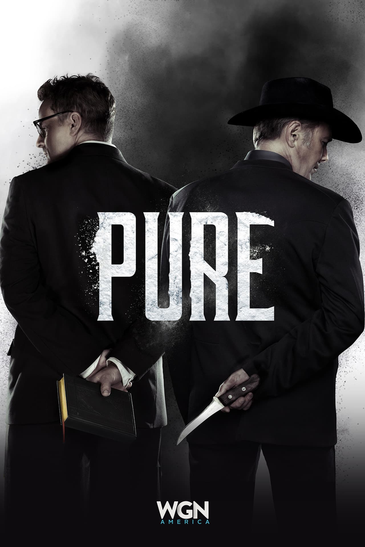 Pure preview 2