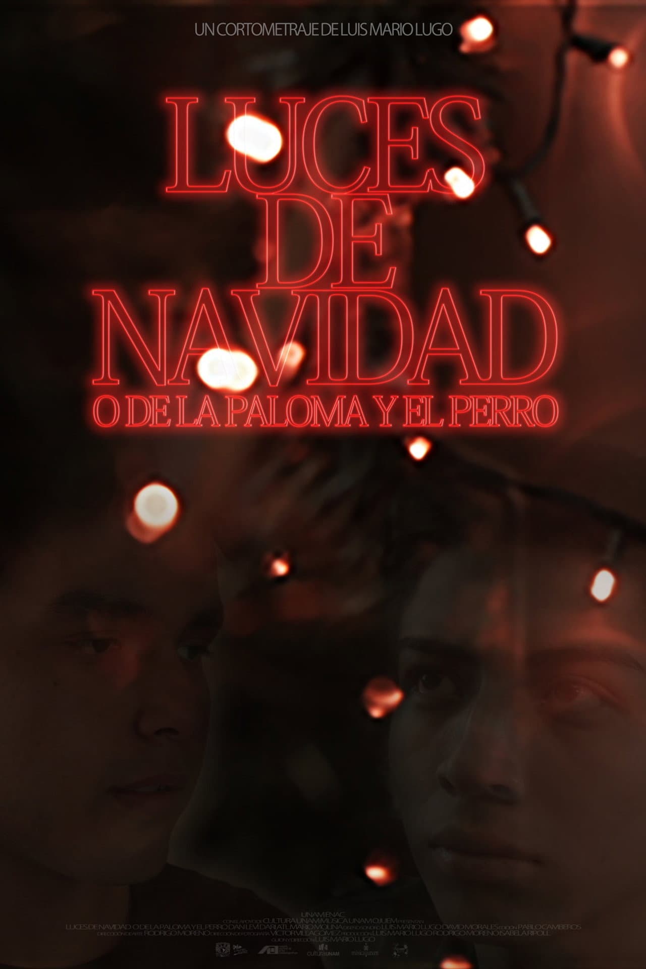 Luces de navidad o de la paloma y el perro preview 2