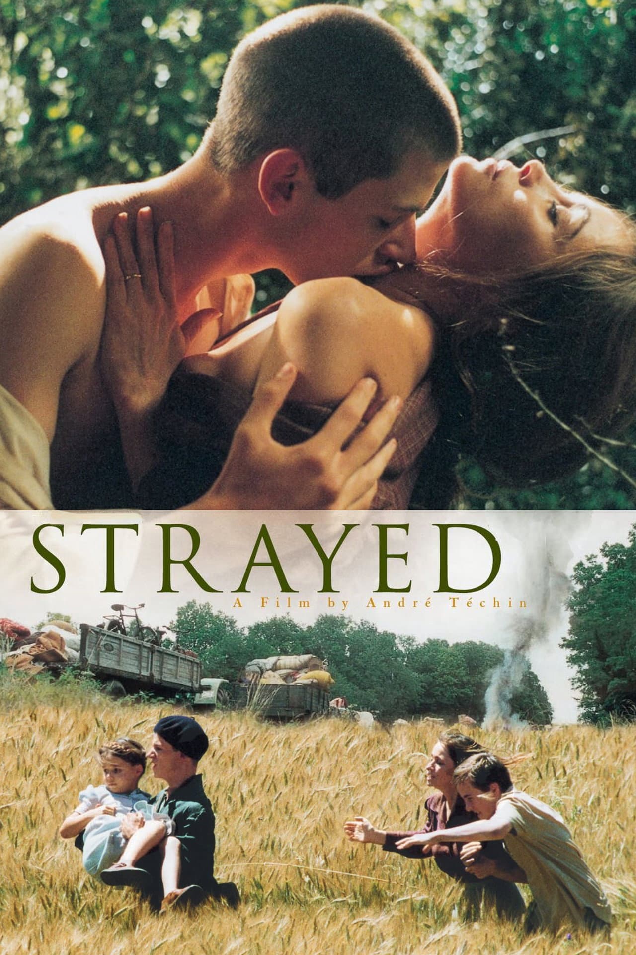 Strayed preview 2