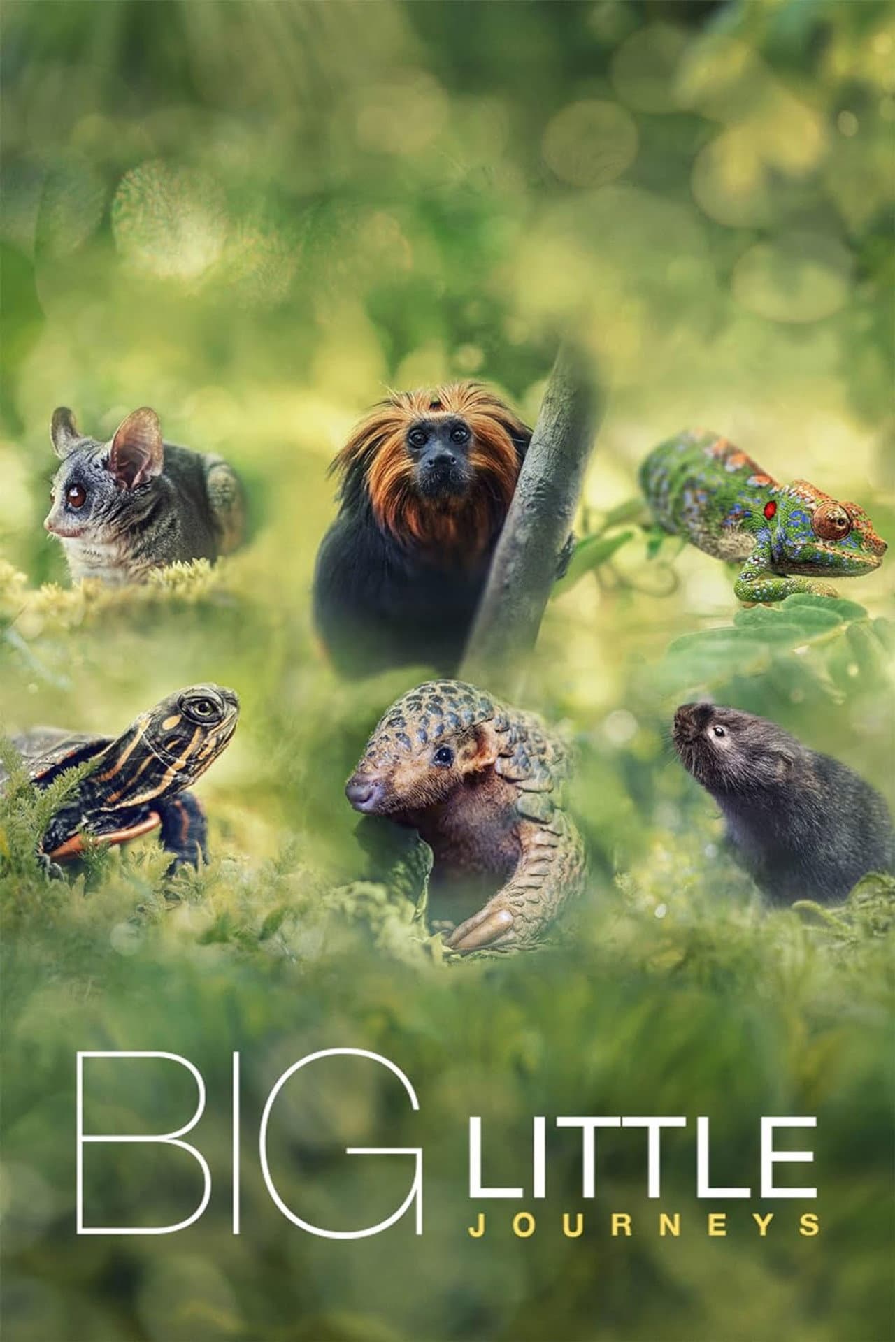 Big Little Journeys preview 2
