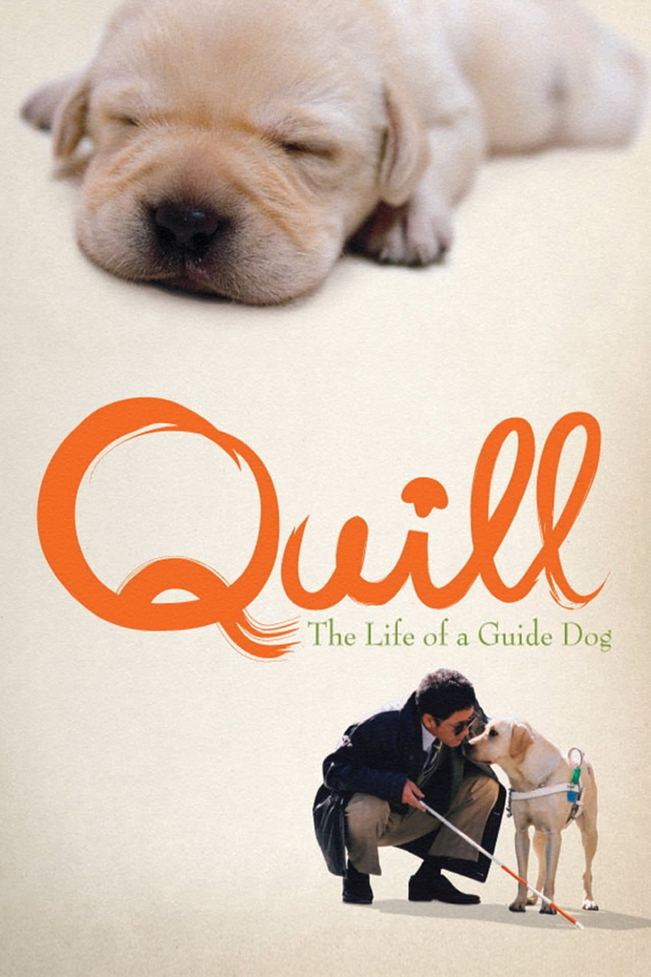 Quill: The Life of a Guide Dog preview 2