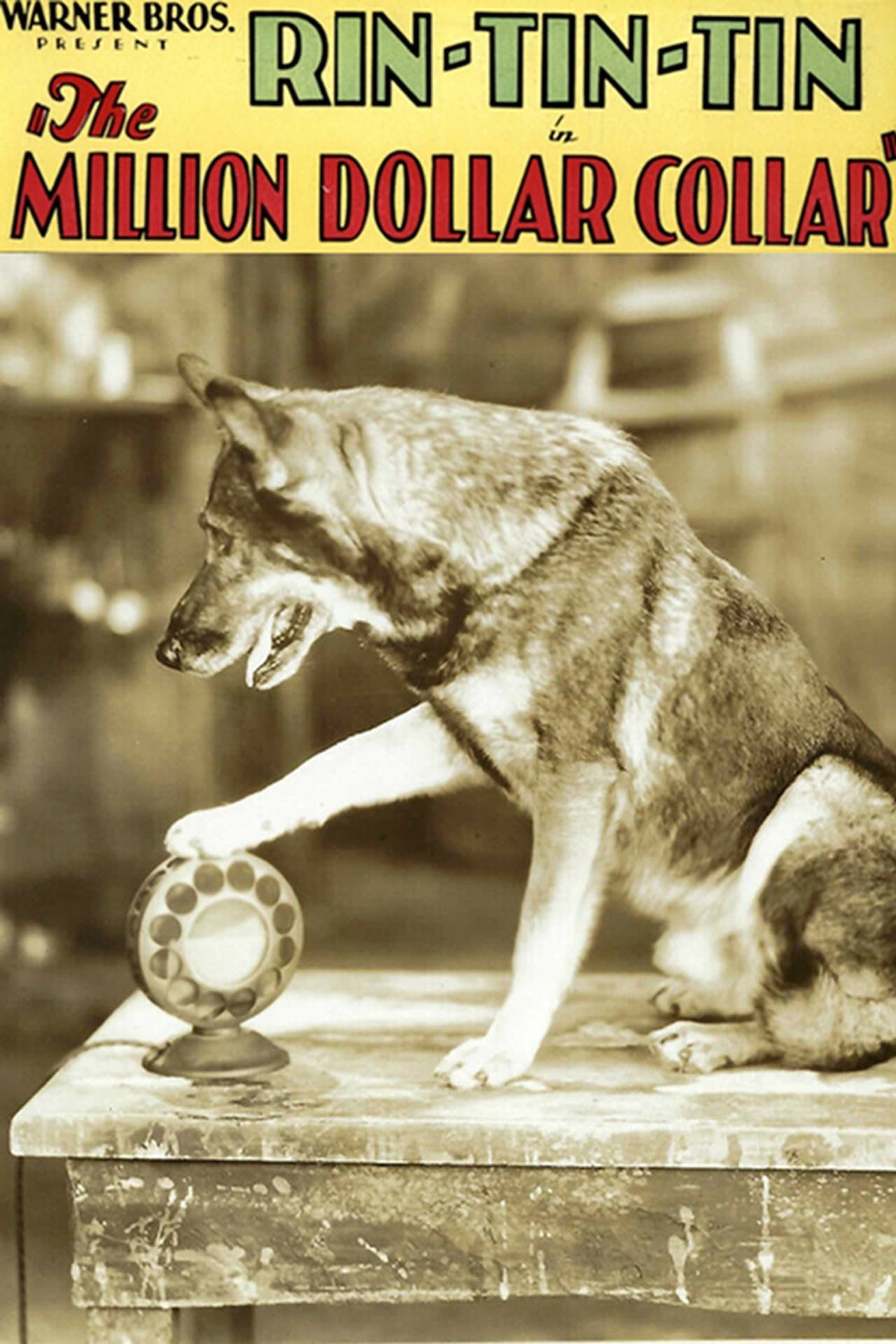 The Million Dollar Collar preview 2