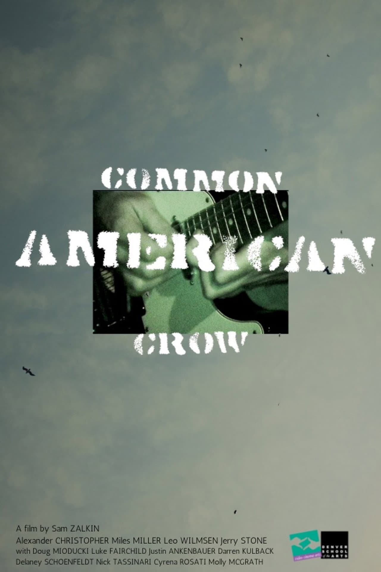 Common American Crow preview 2