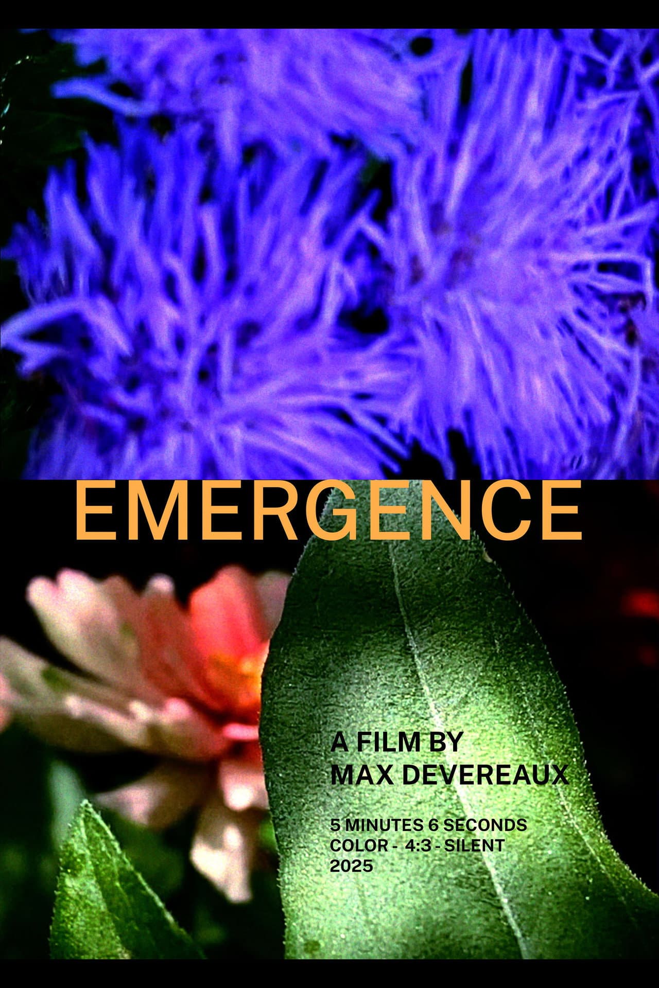 Emergence preview 2