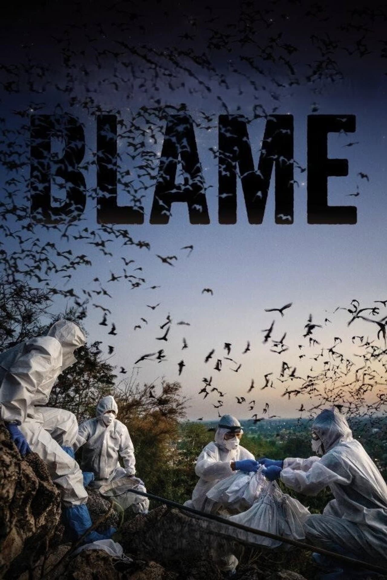 Blame preview 2
