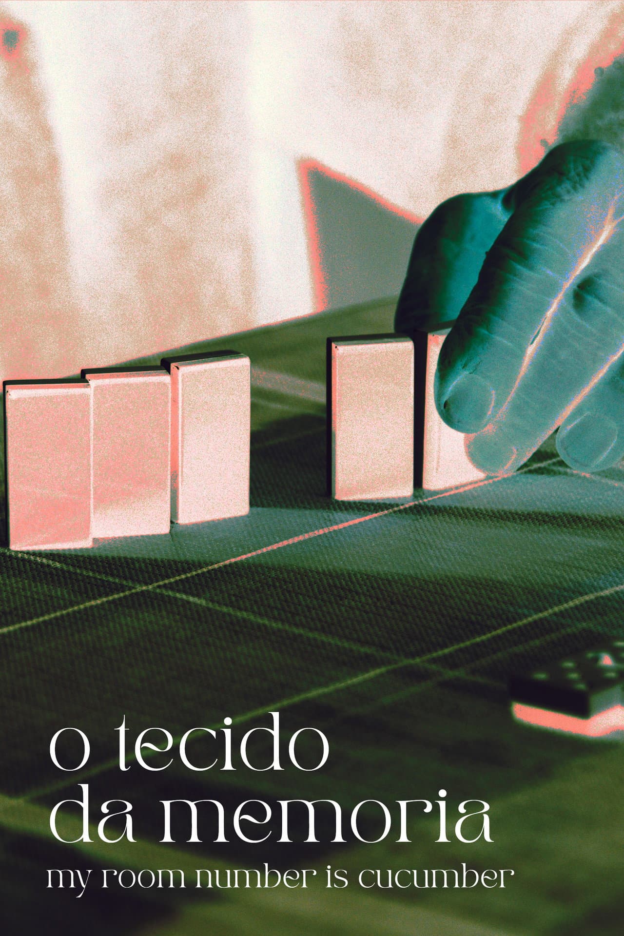 O tecido da memoria (My room number is cucumber) preview 2
