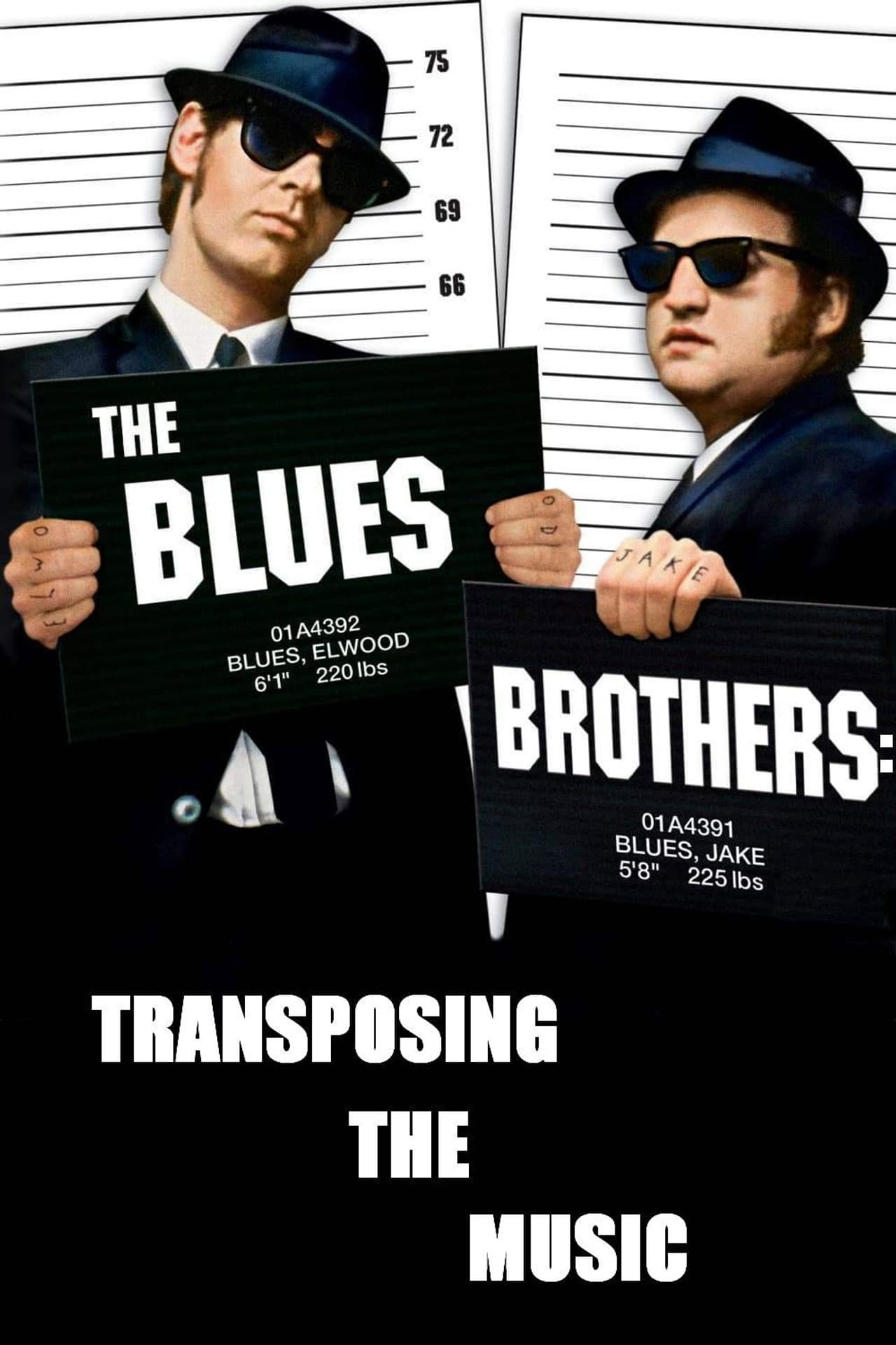 The Blues Brothers: Transposing The Music preview 1