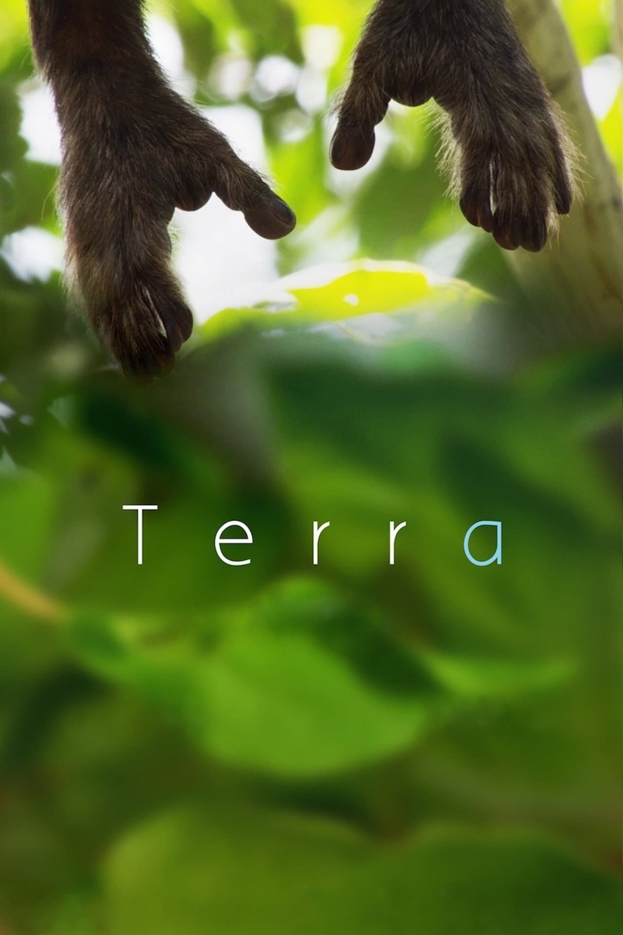 Terra preview 2