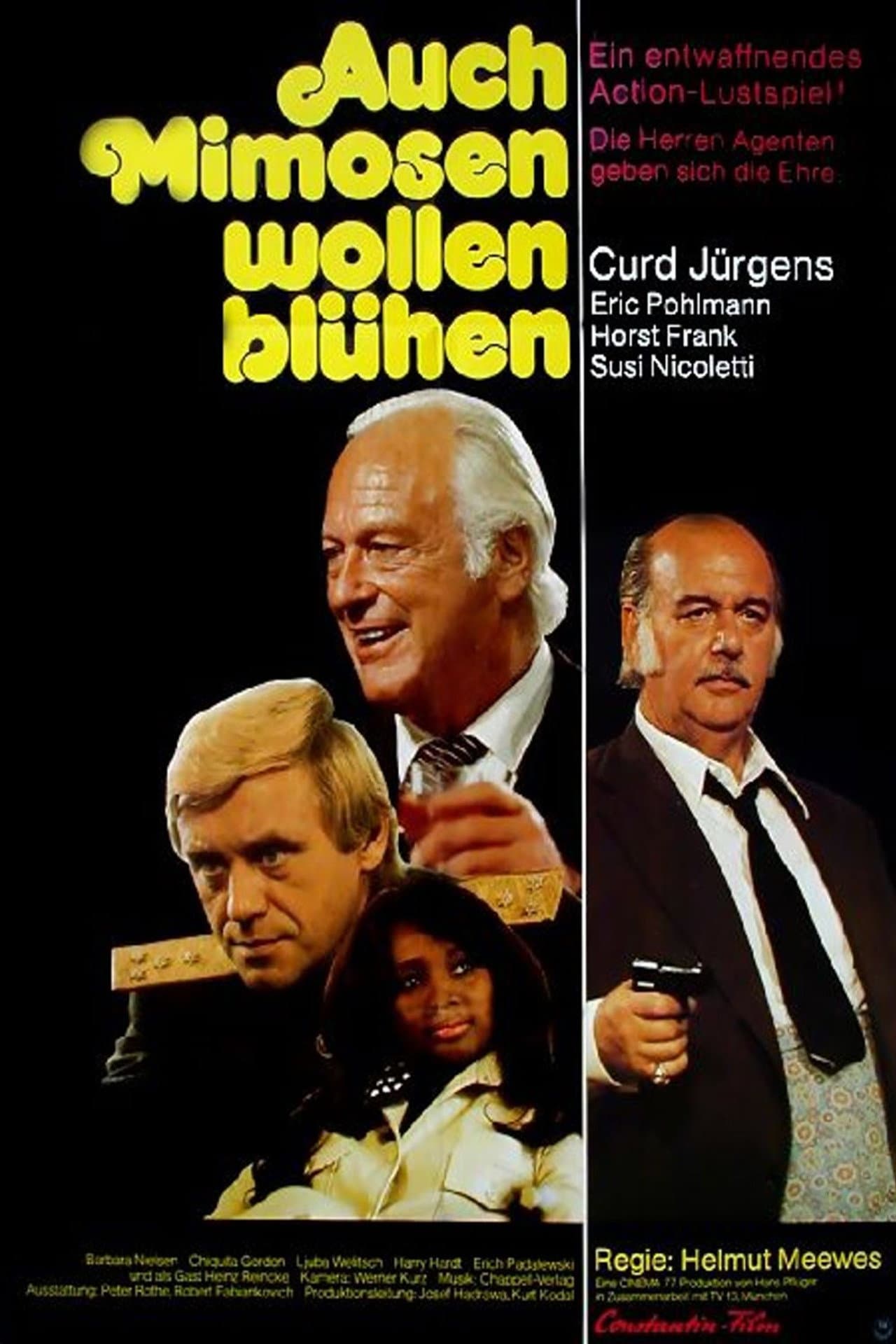 Auch Mimosen wollen blühen preview 1