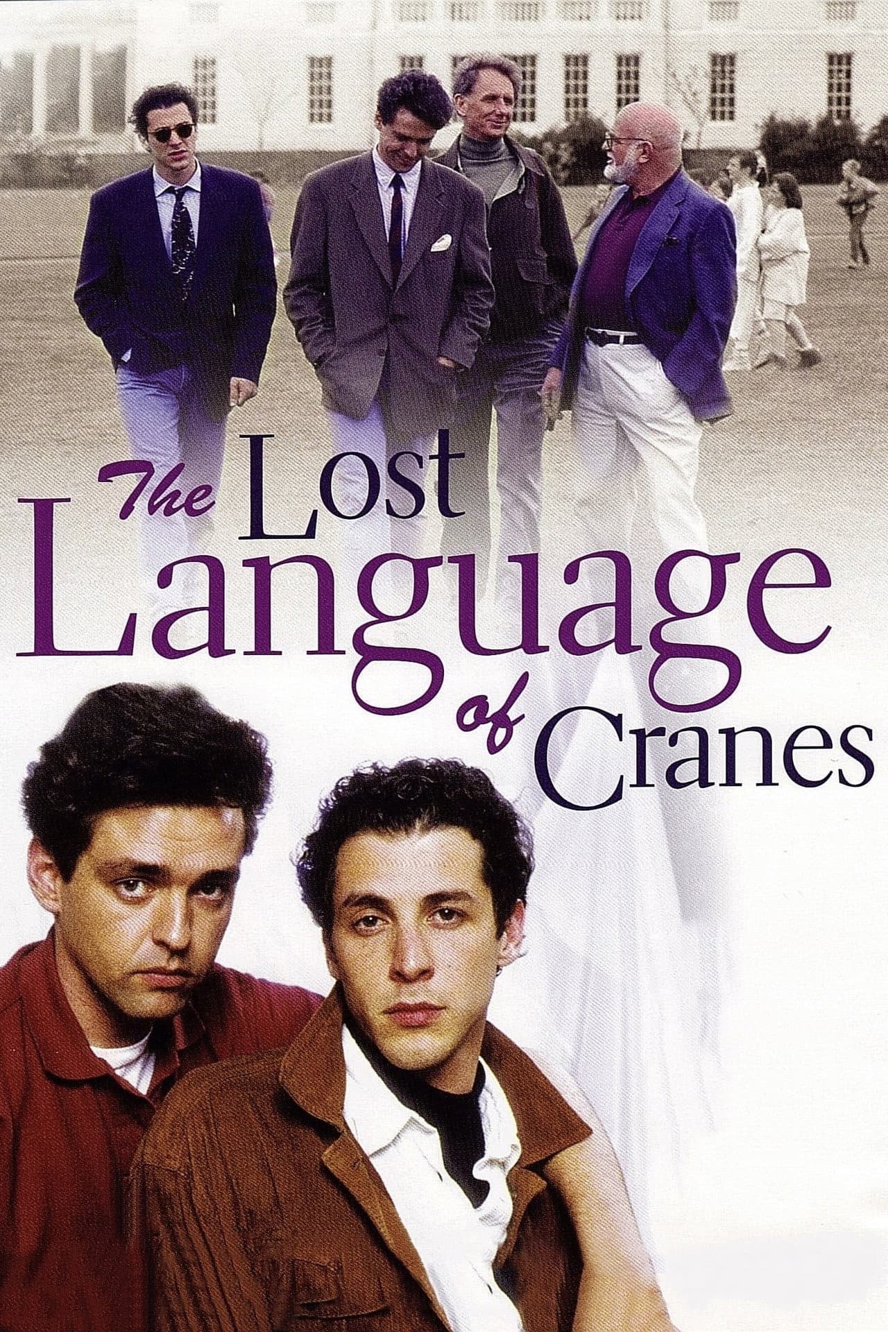 The Lost Language of Cranes preview 2