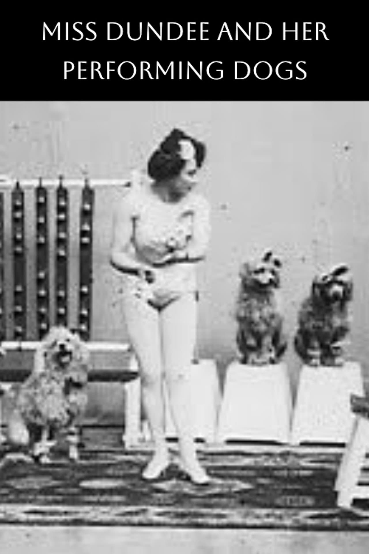 Miss Dundee and Her Performing Dogs preview 1