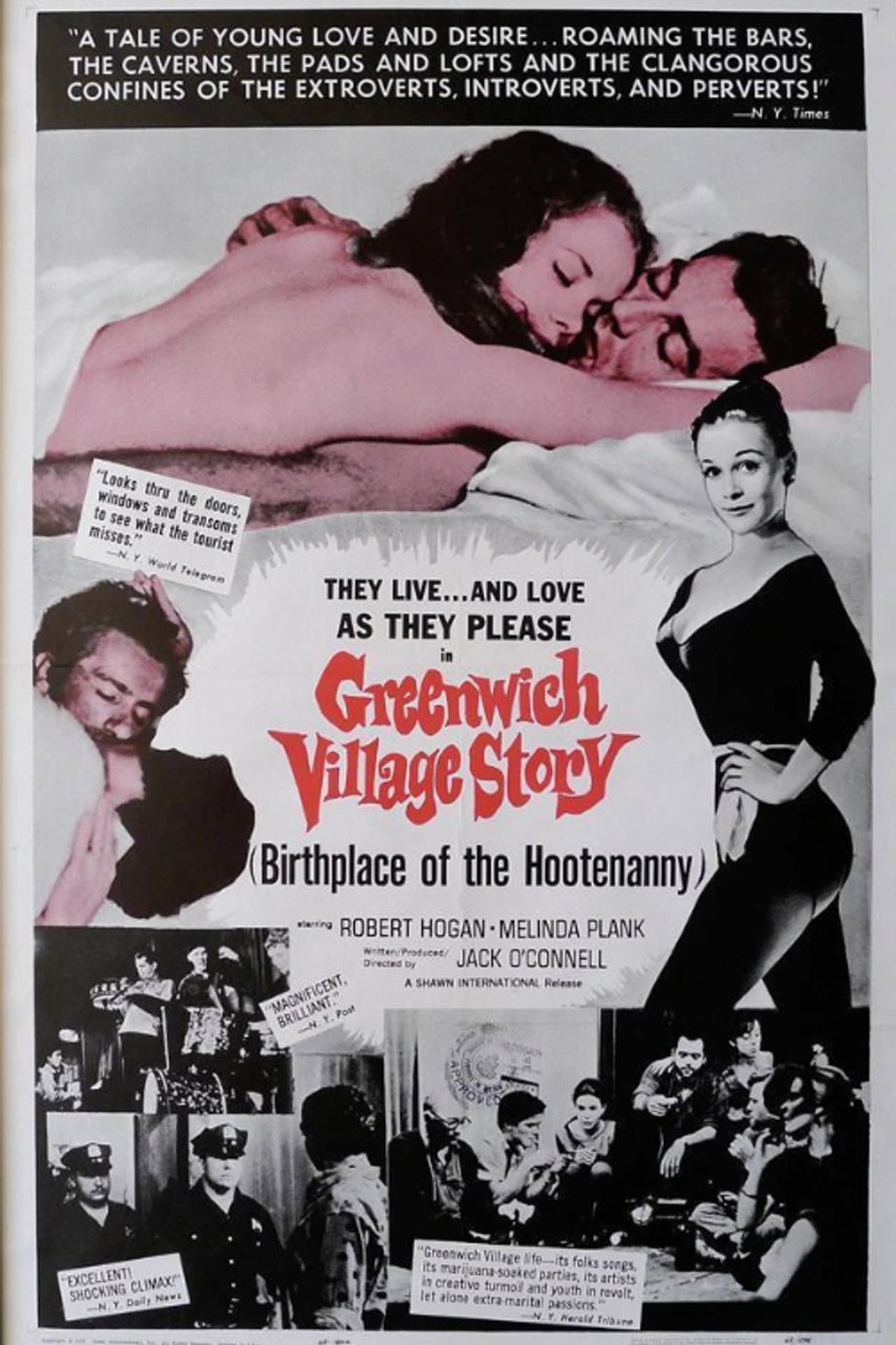 Greenwich Village Story preview 2