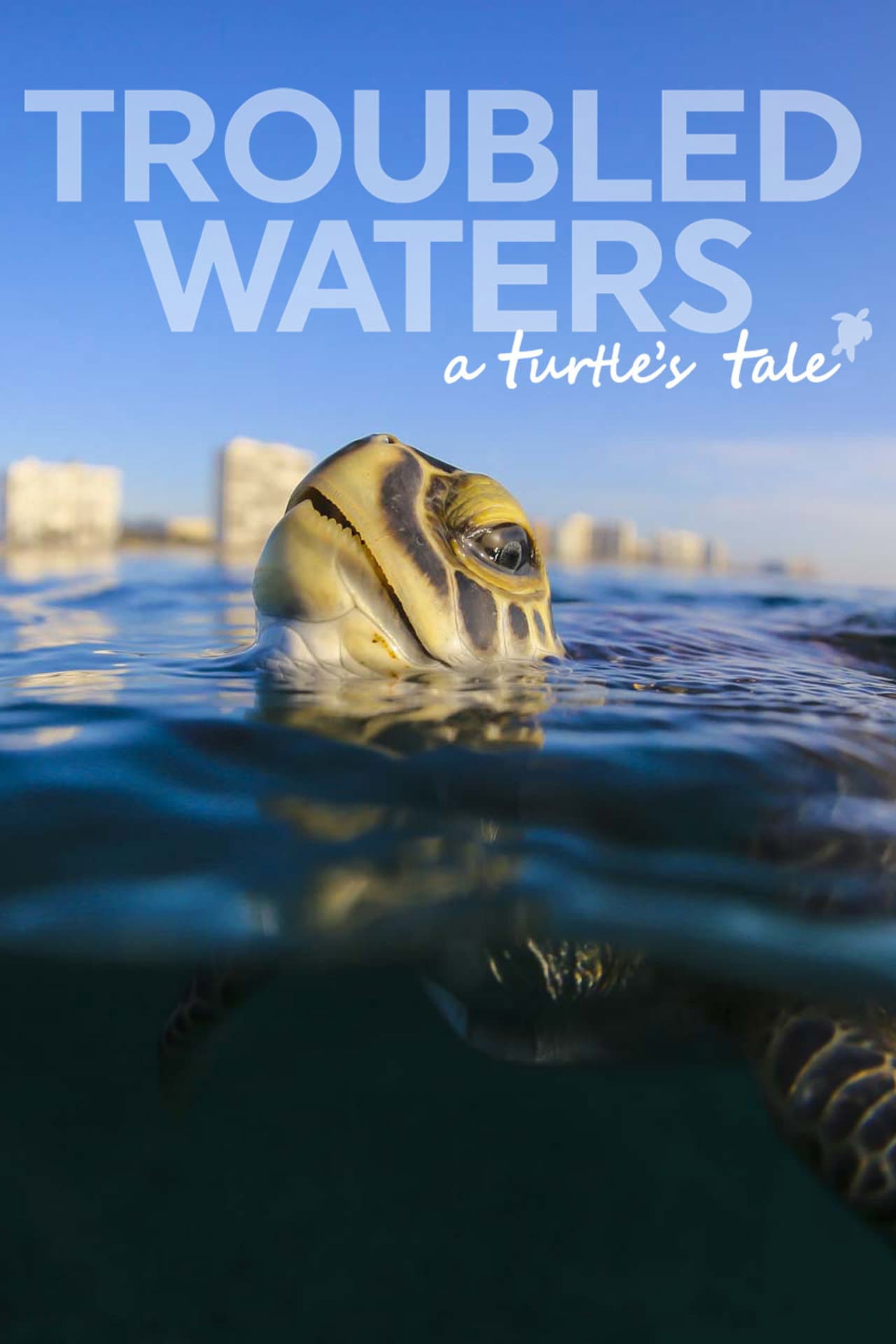 Troubled Waters: A Turtle's Tale preview 2
