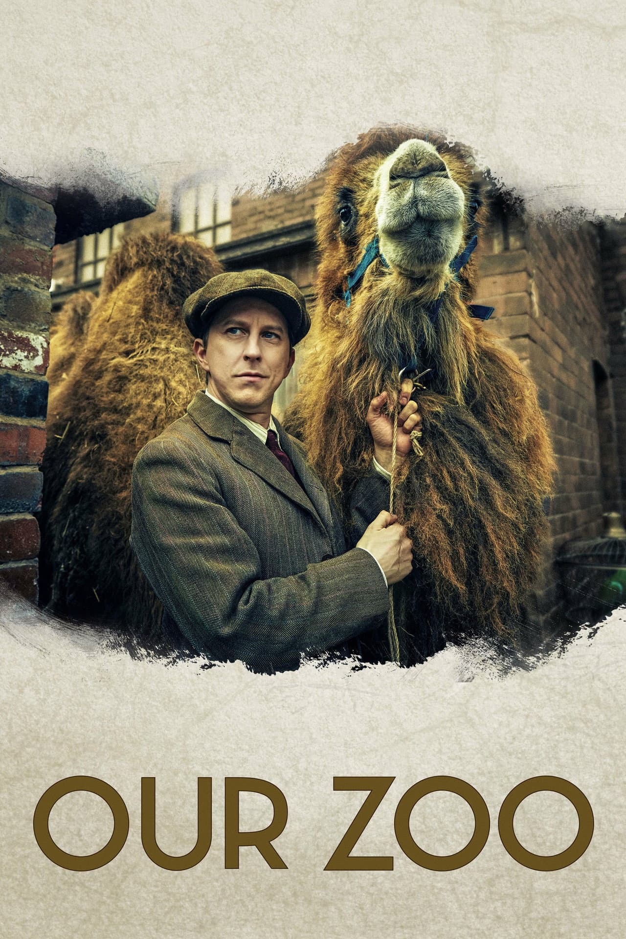 Our Zoo preview 2