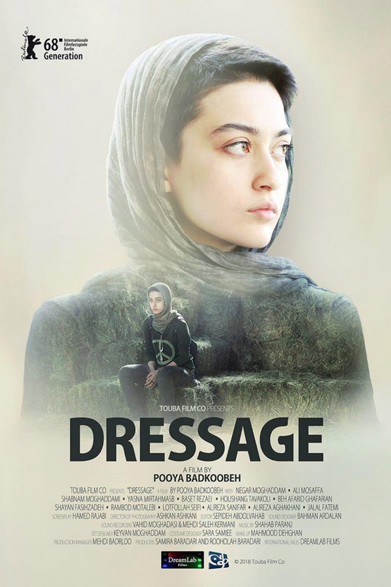 Dressage preview 1