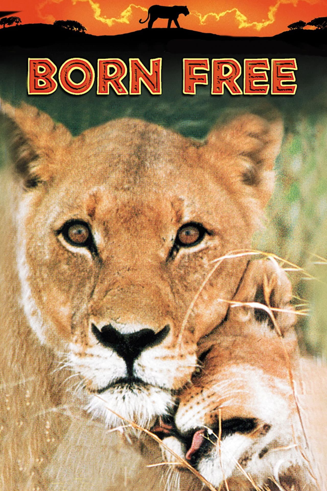 Born Free preview 2