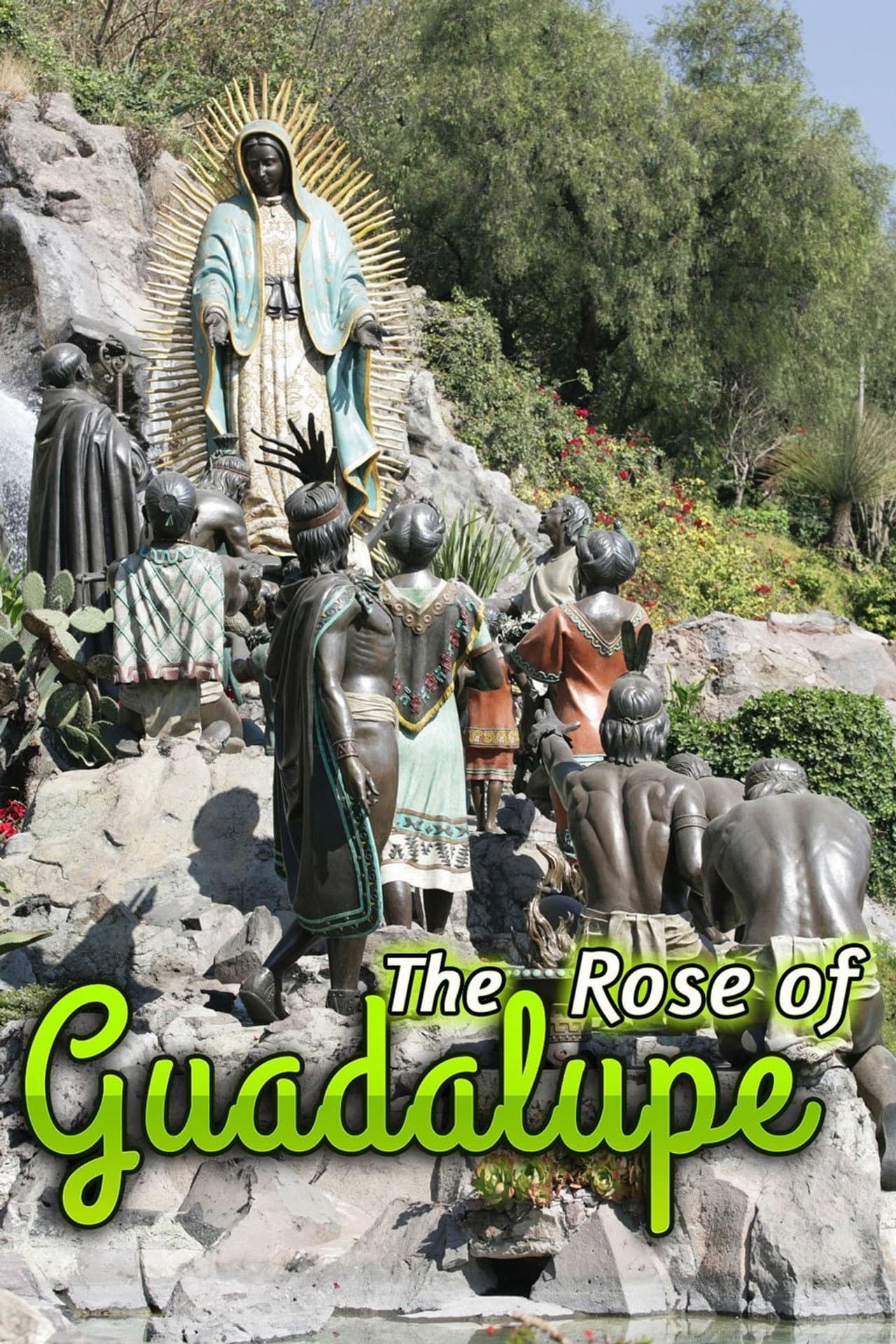 La rosa de Guadalupe preview 2