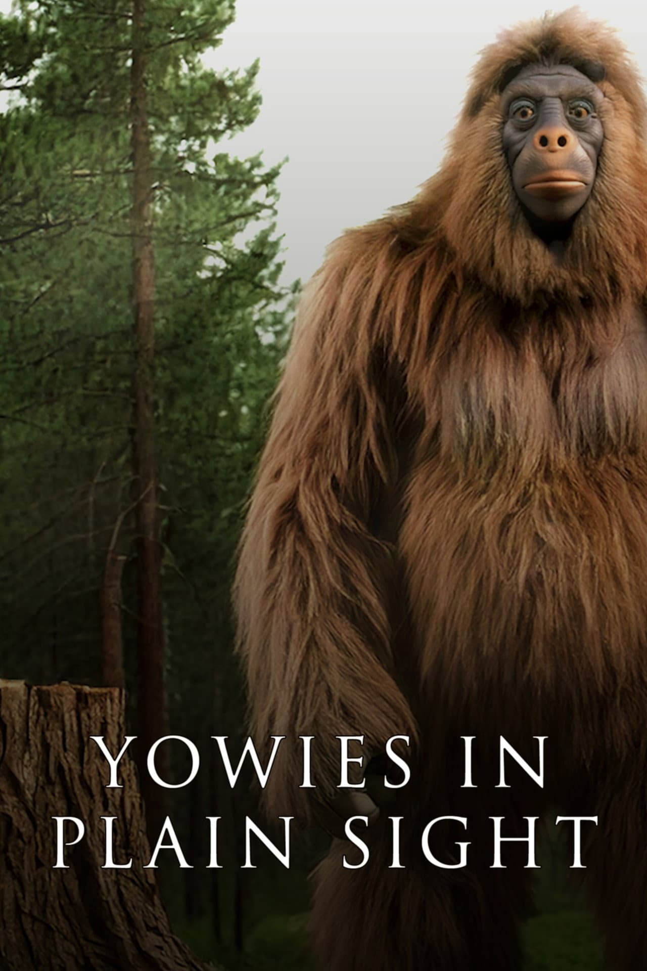 Yowies in Plain Sight preview 1