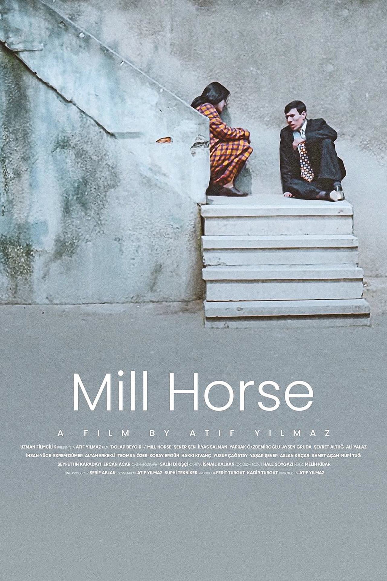 Mill Horse preview 2