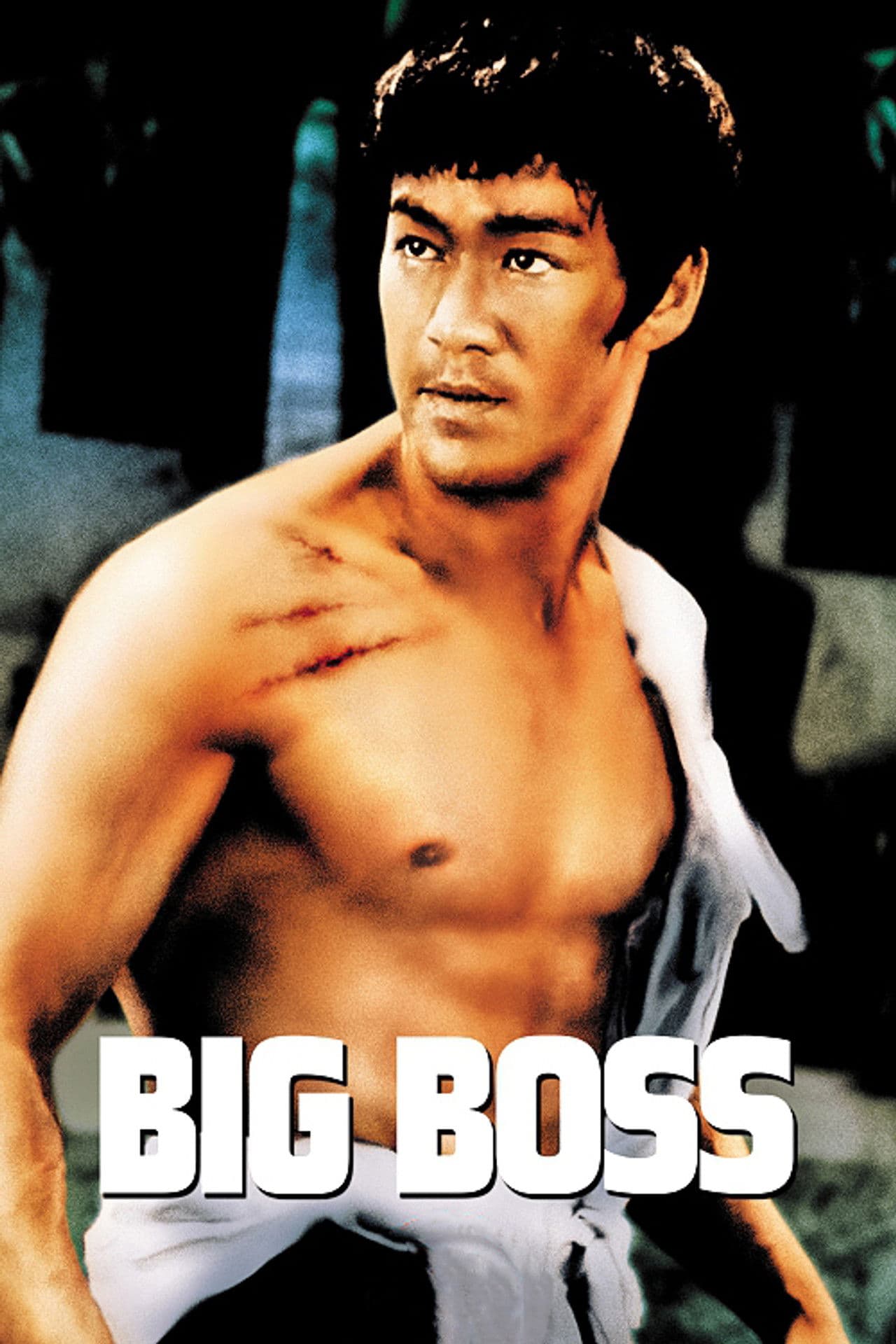 The Big Boss preview 2