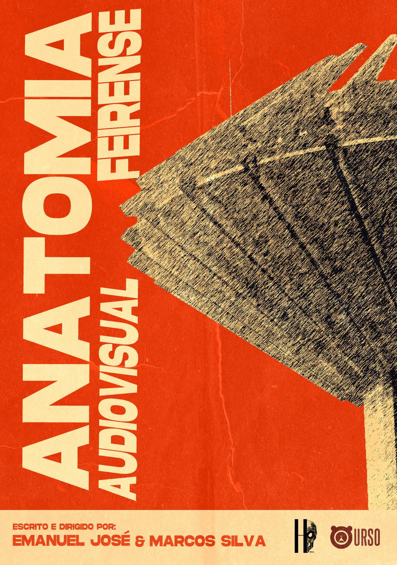 Anatomia Audiovisual Feirense preview 2