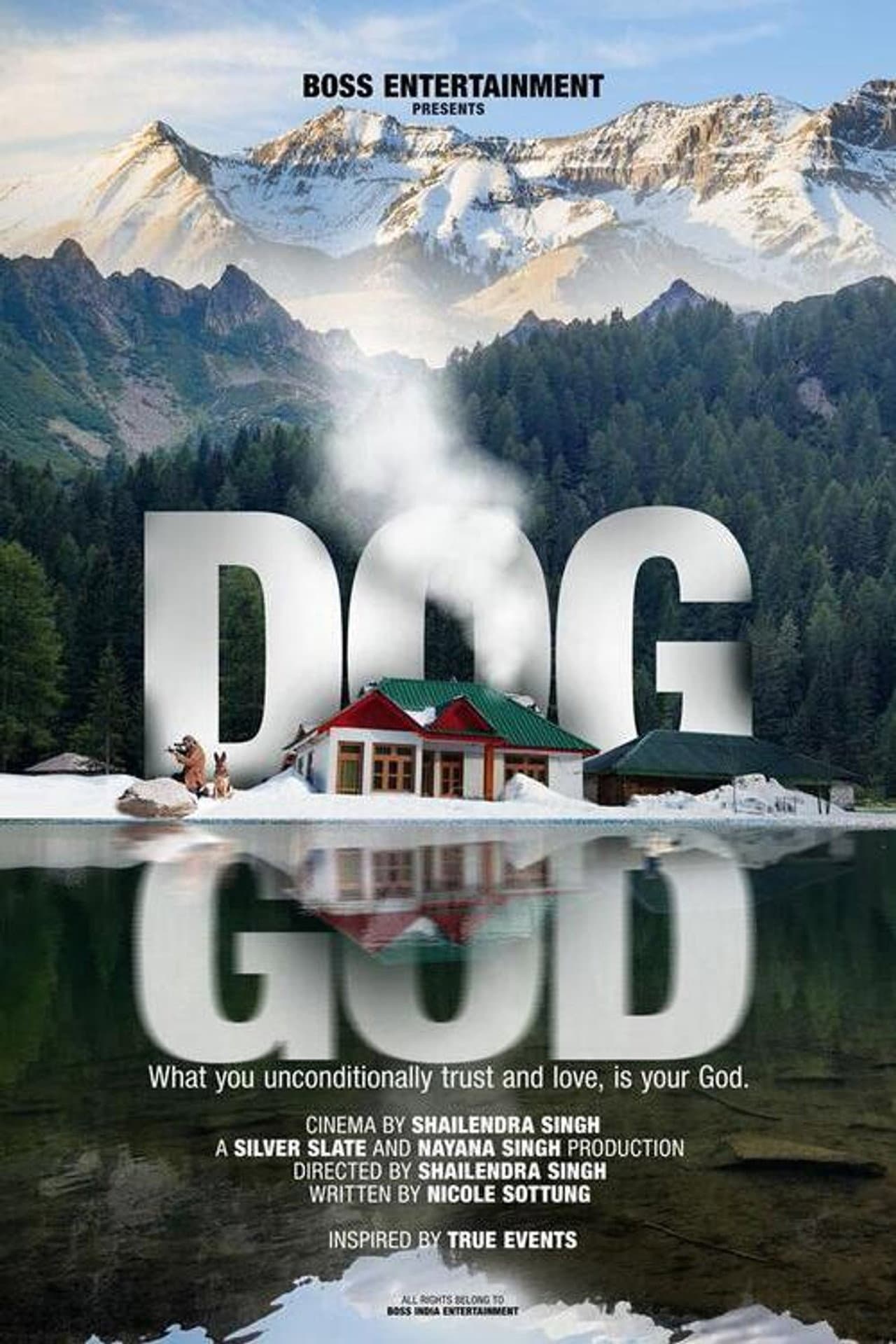 Dog preview 2