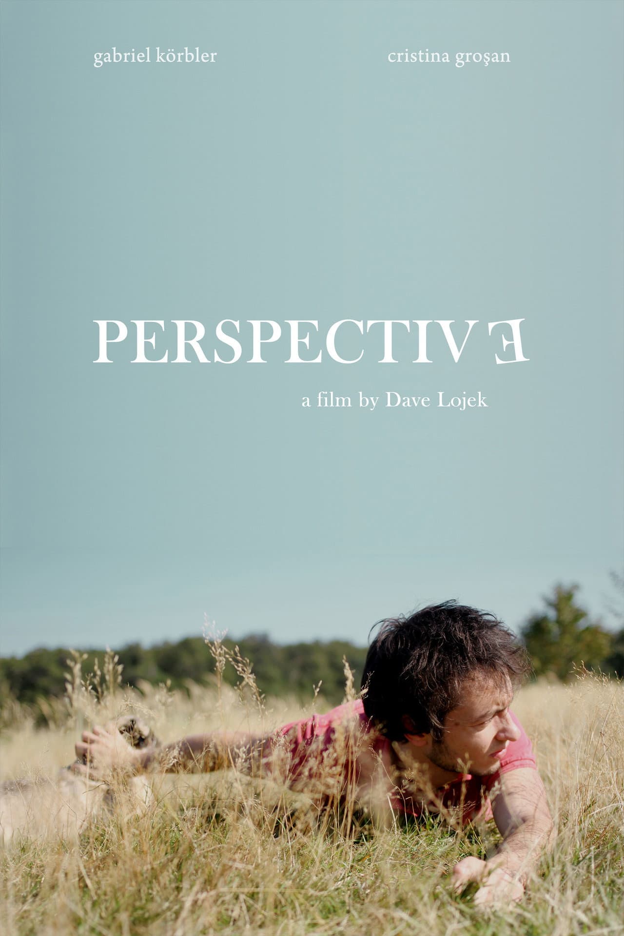 Perspective preview 2