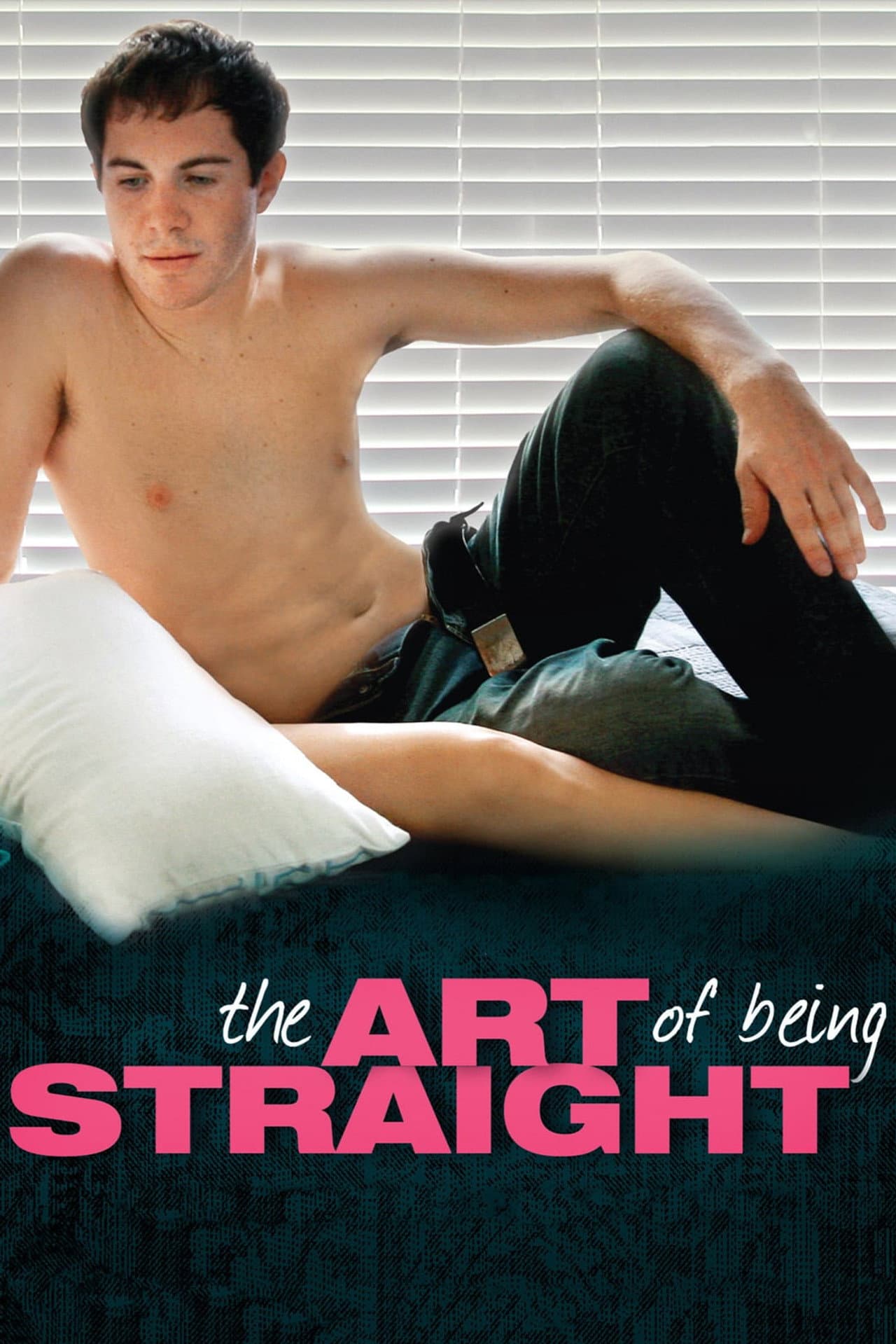 The Art of Being Straight preview 2