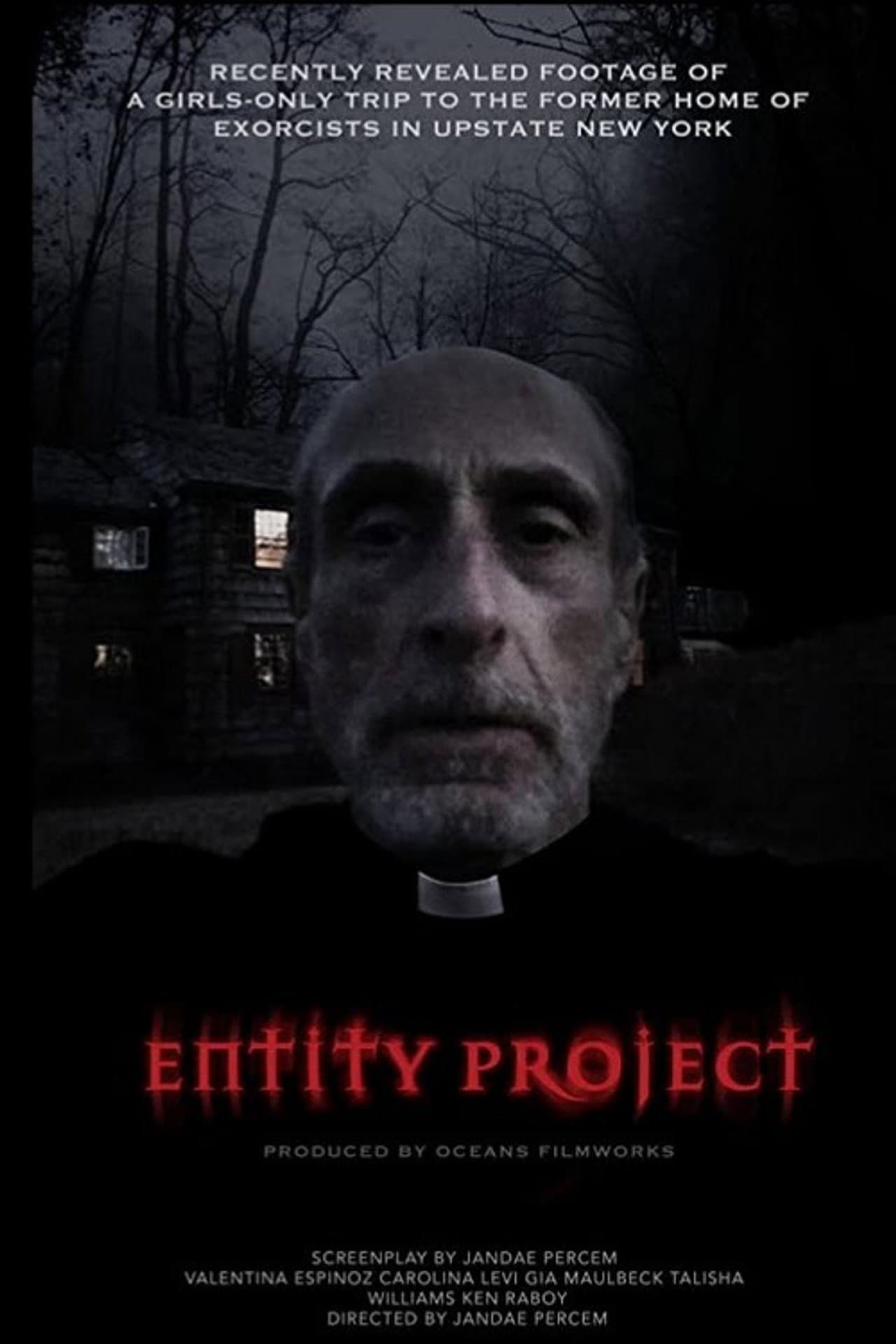 Entity Project preview 1