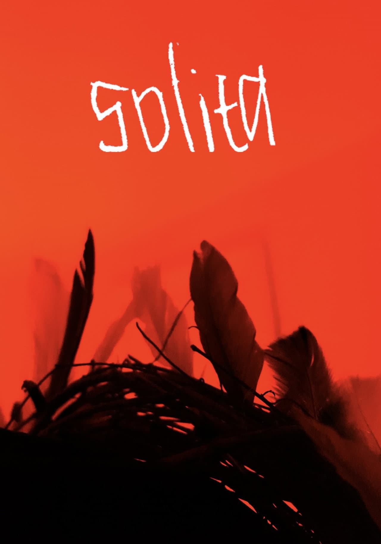 Solita preview 1