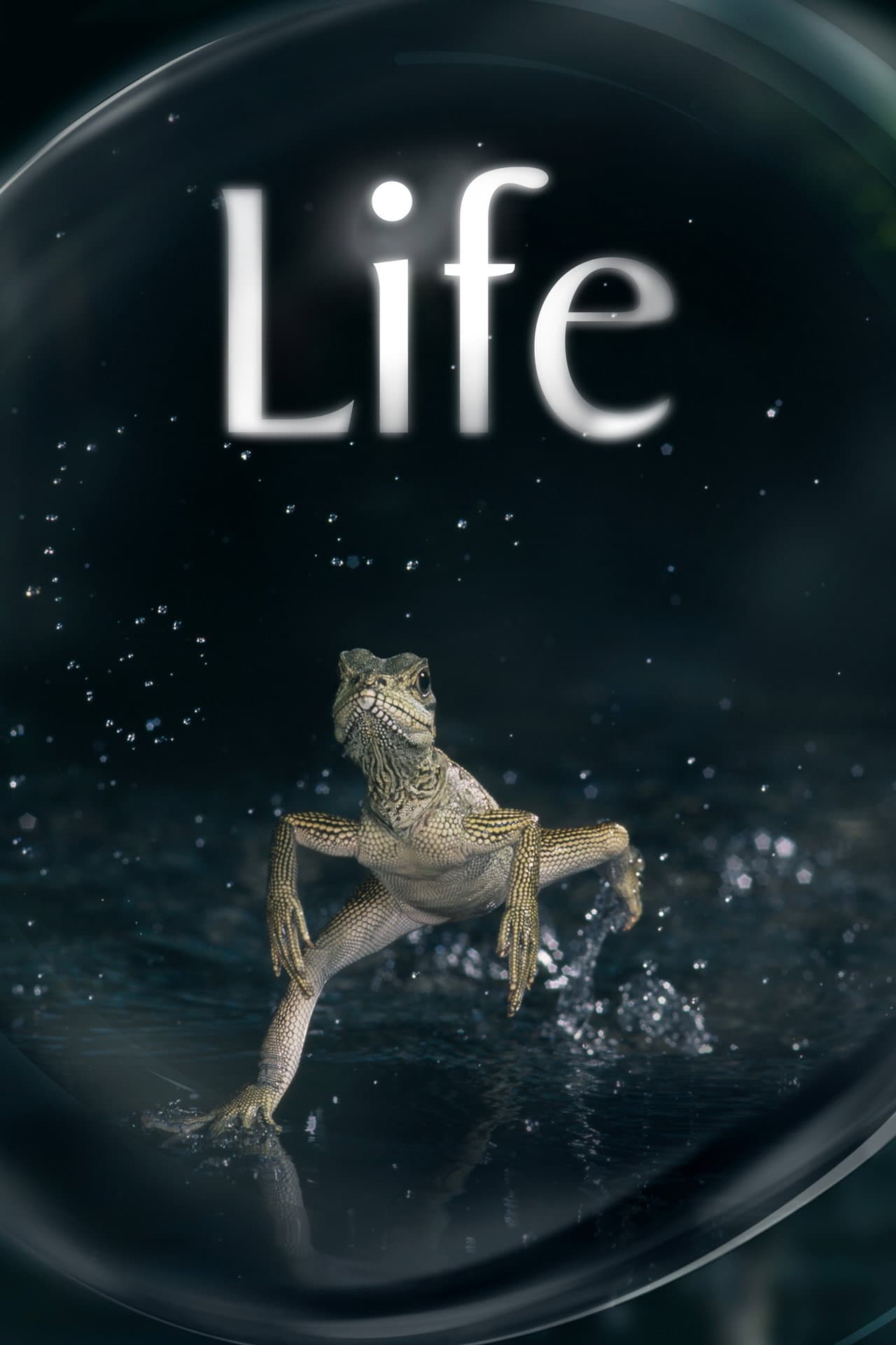 Life preview 2